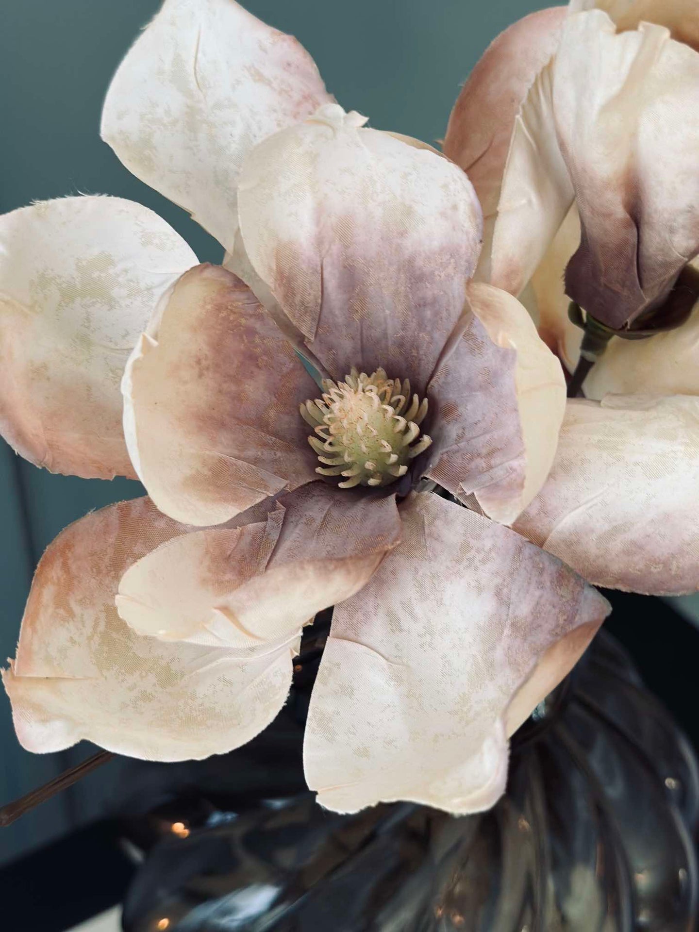Magnolienstiel