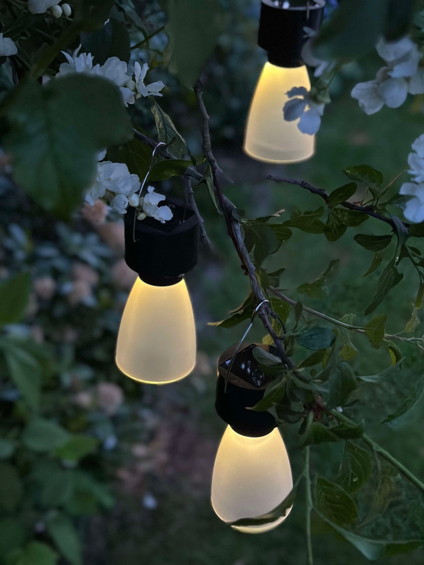 Mini-Lampe mit Solar