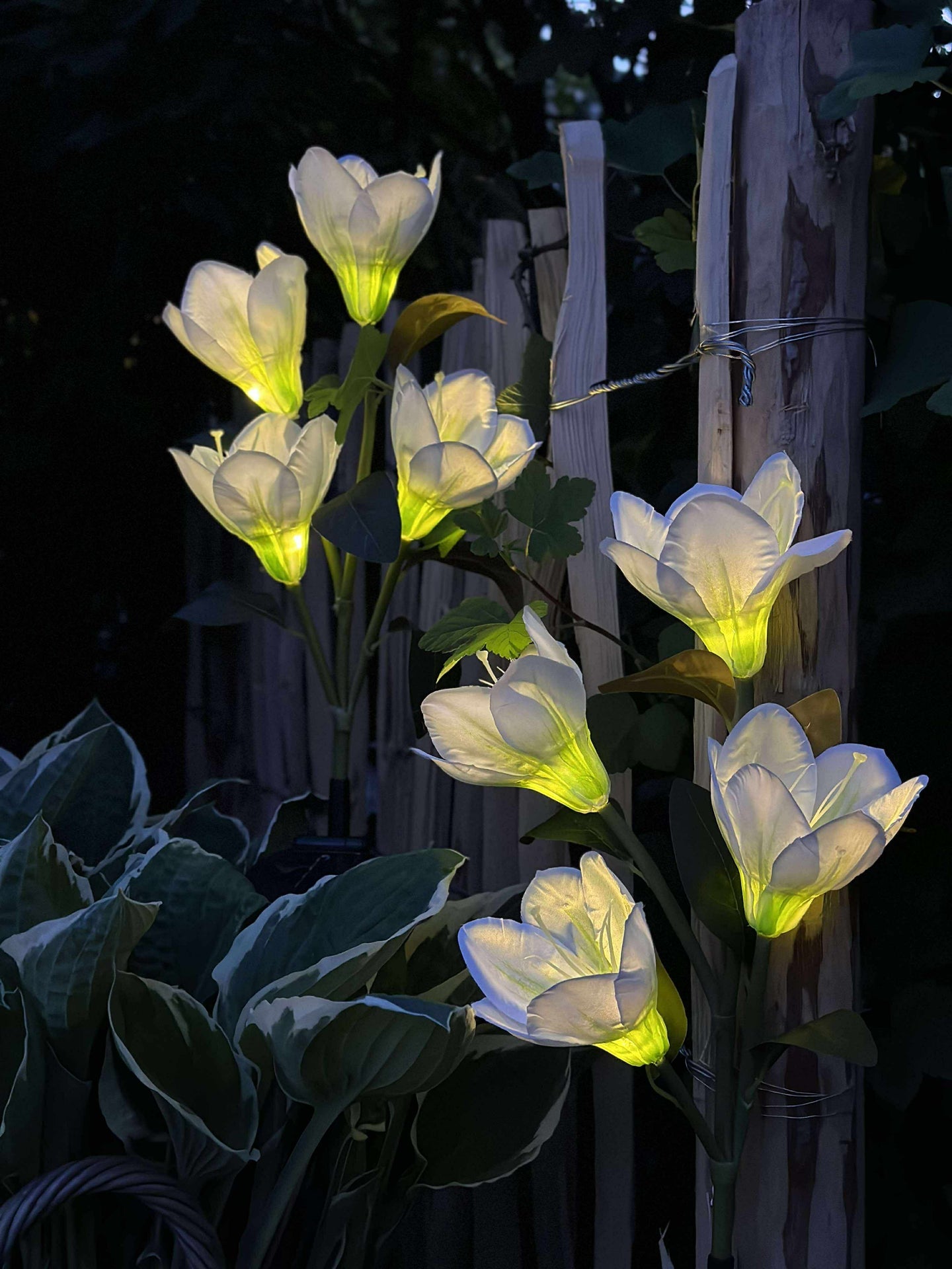 Magnolie mit Solarzellen - Weiß