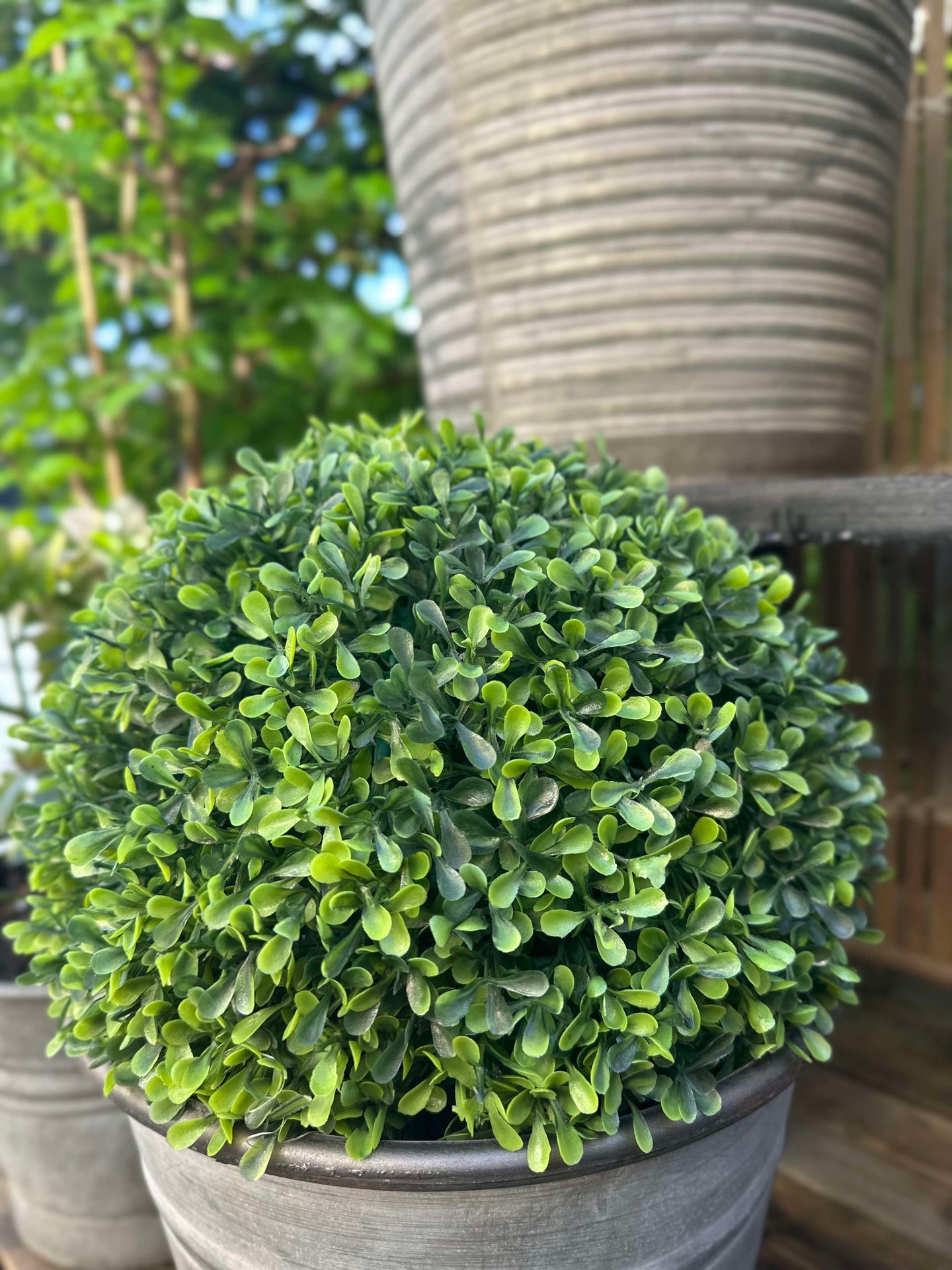 Buchsbaumkugel 30cm