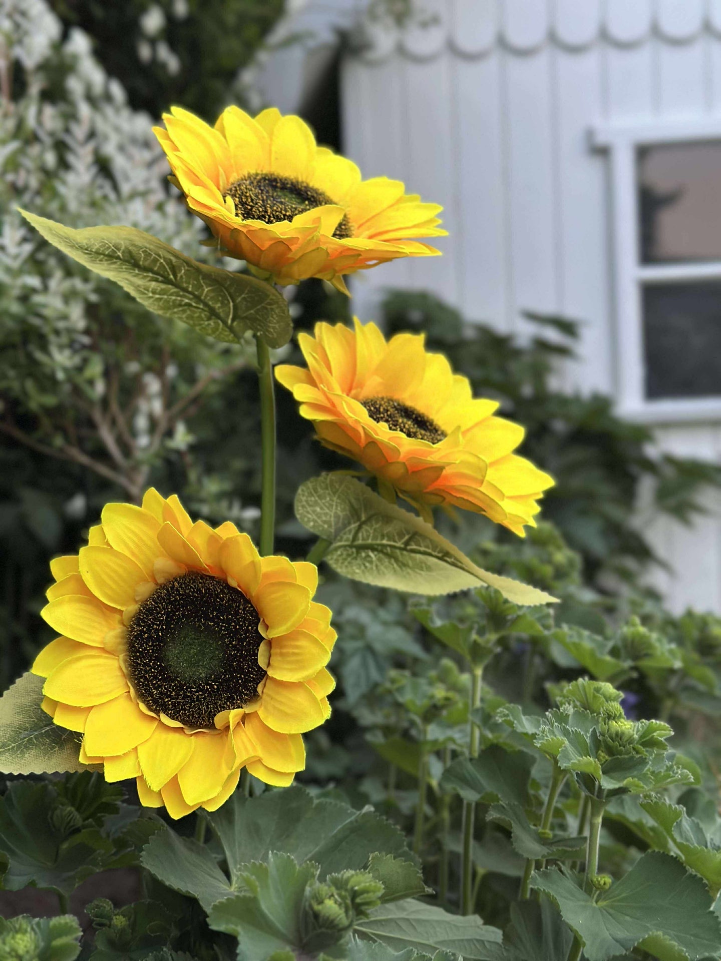 Sonnenblume mit Solarzellen
