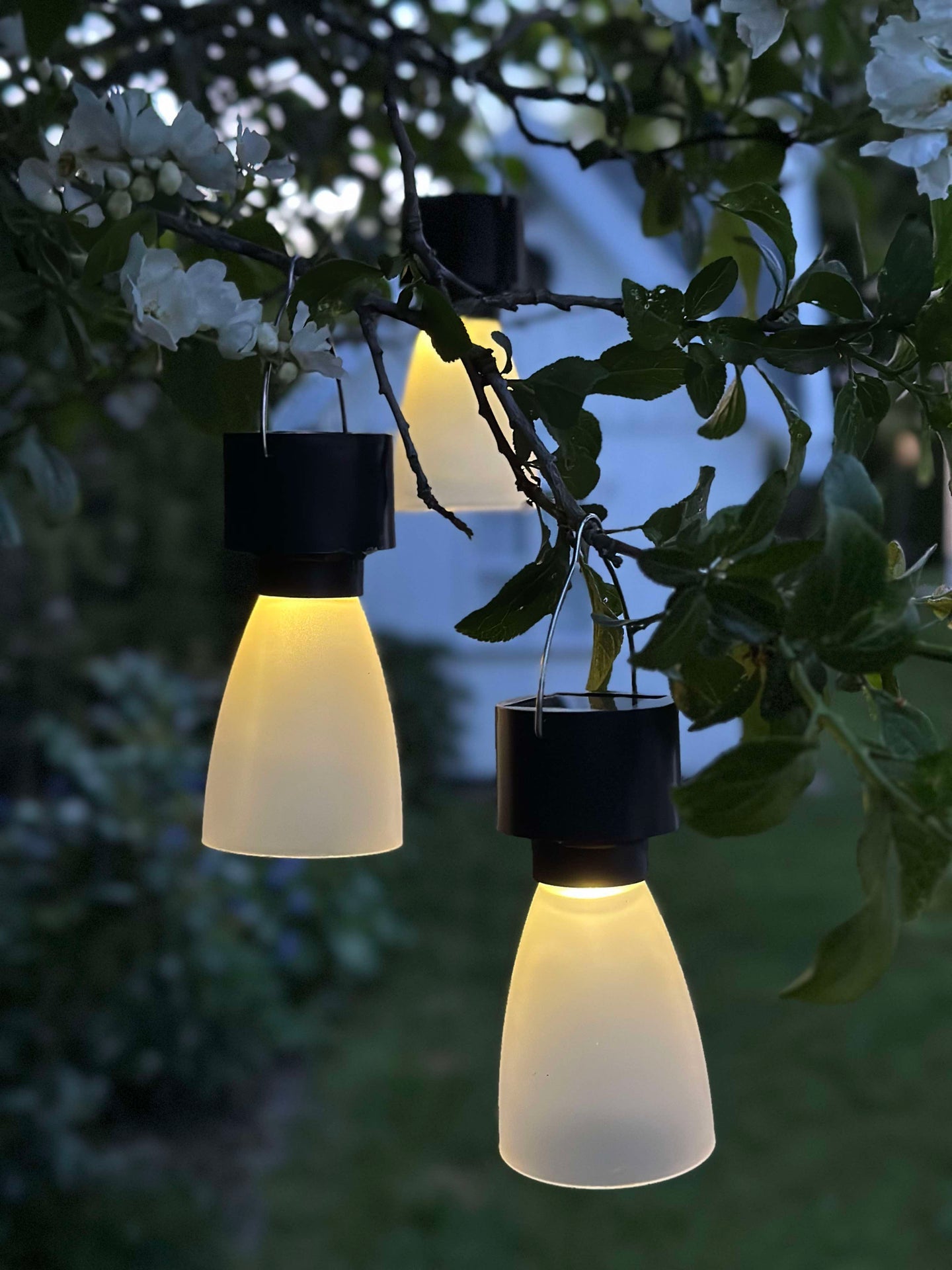 Mini-Lampe mit Solar