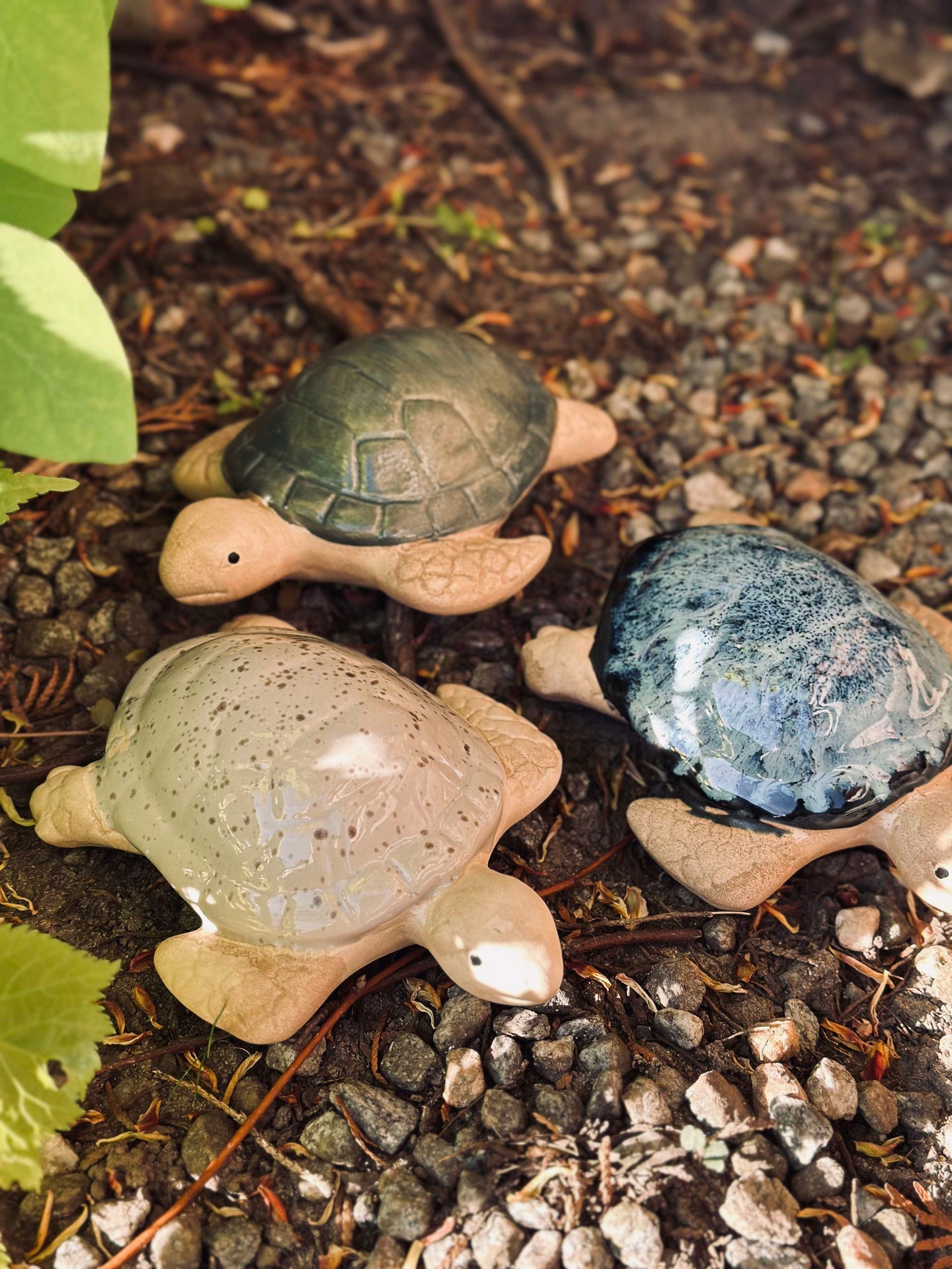 Schildkröte MIX