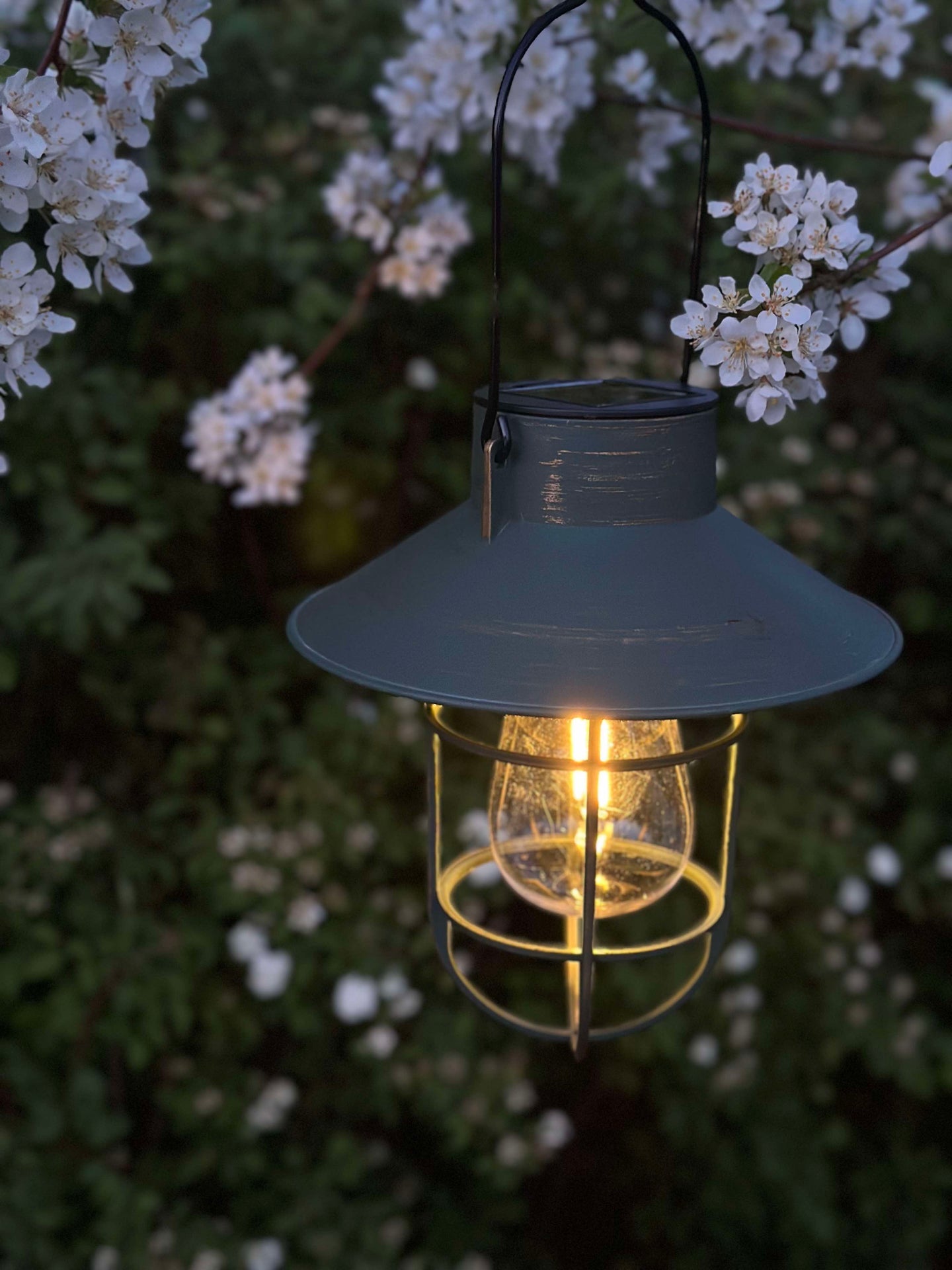 Solar-Lampe mit Aufhängung - Grün / Gold