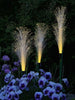 Pampas mit Solar