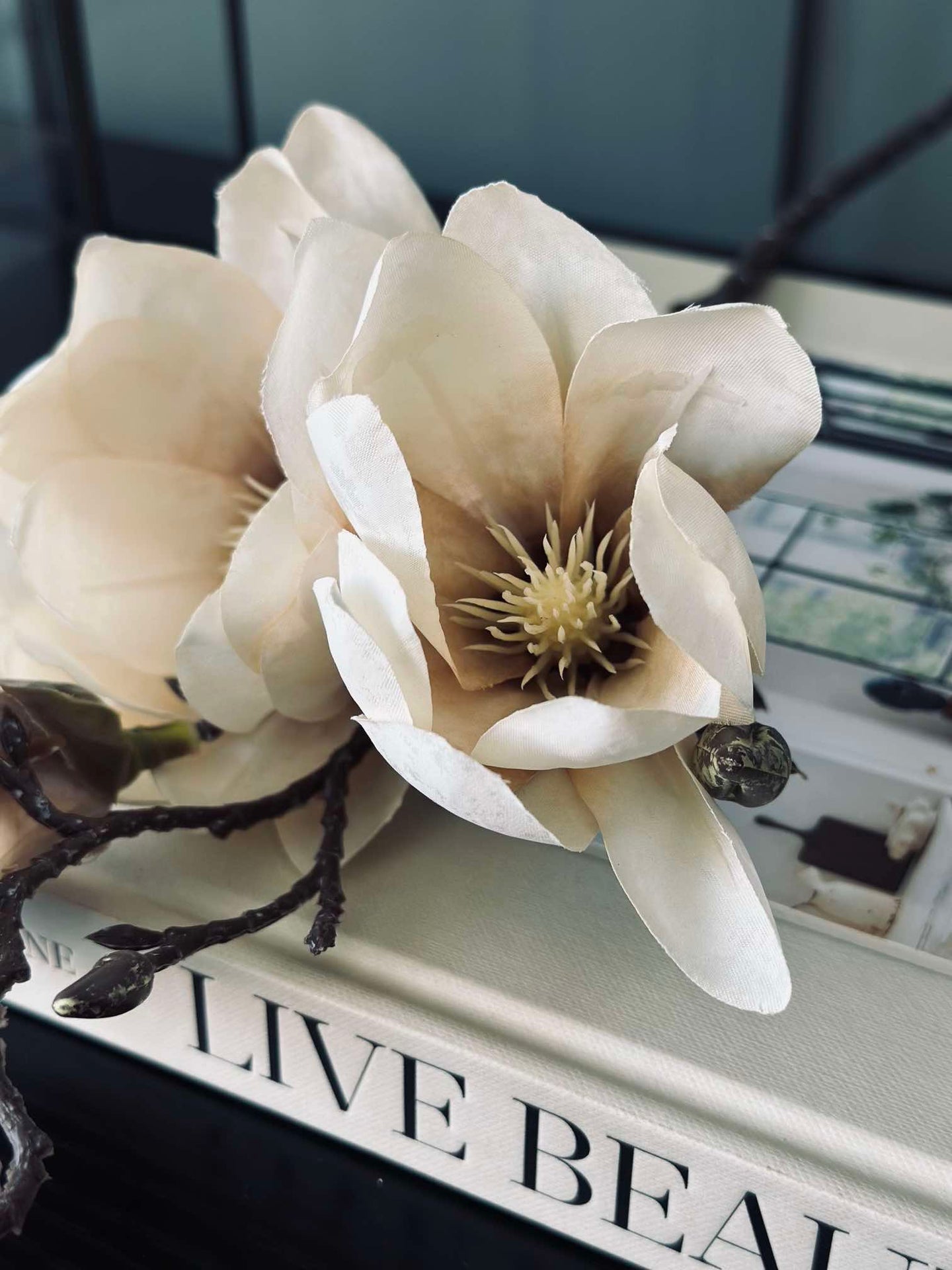 Magnolienstängel