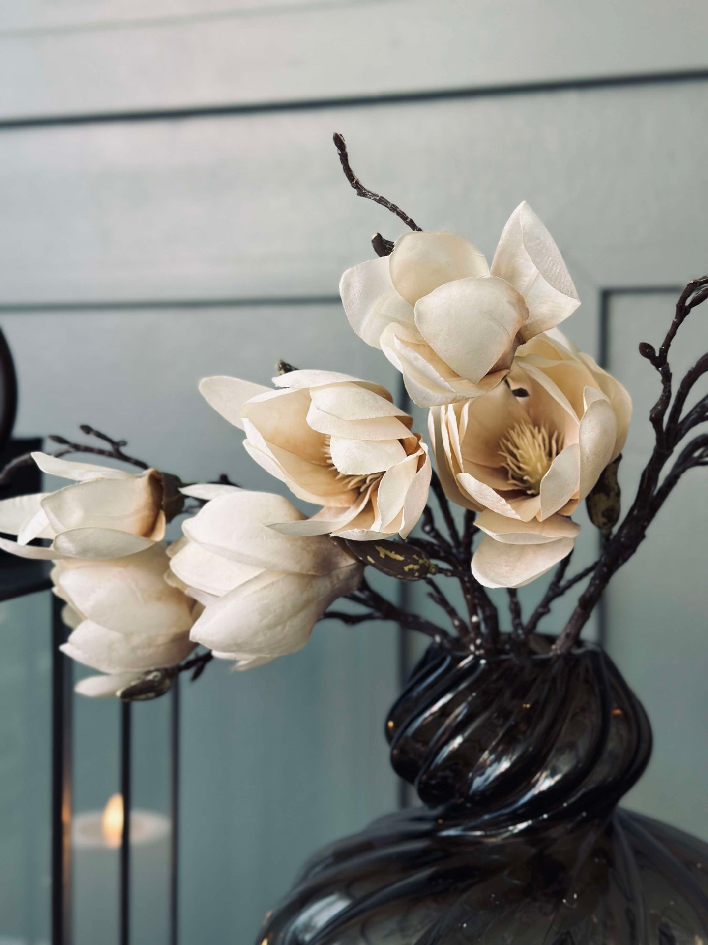 Magnolienstängel