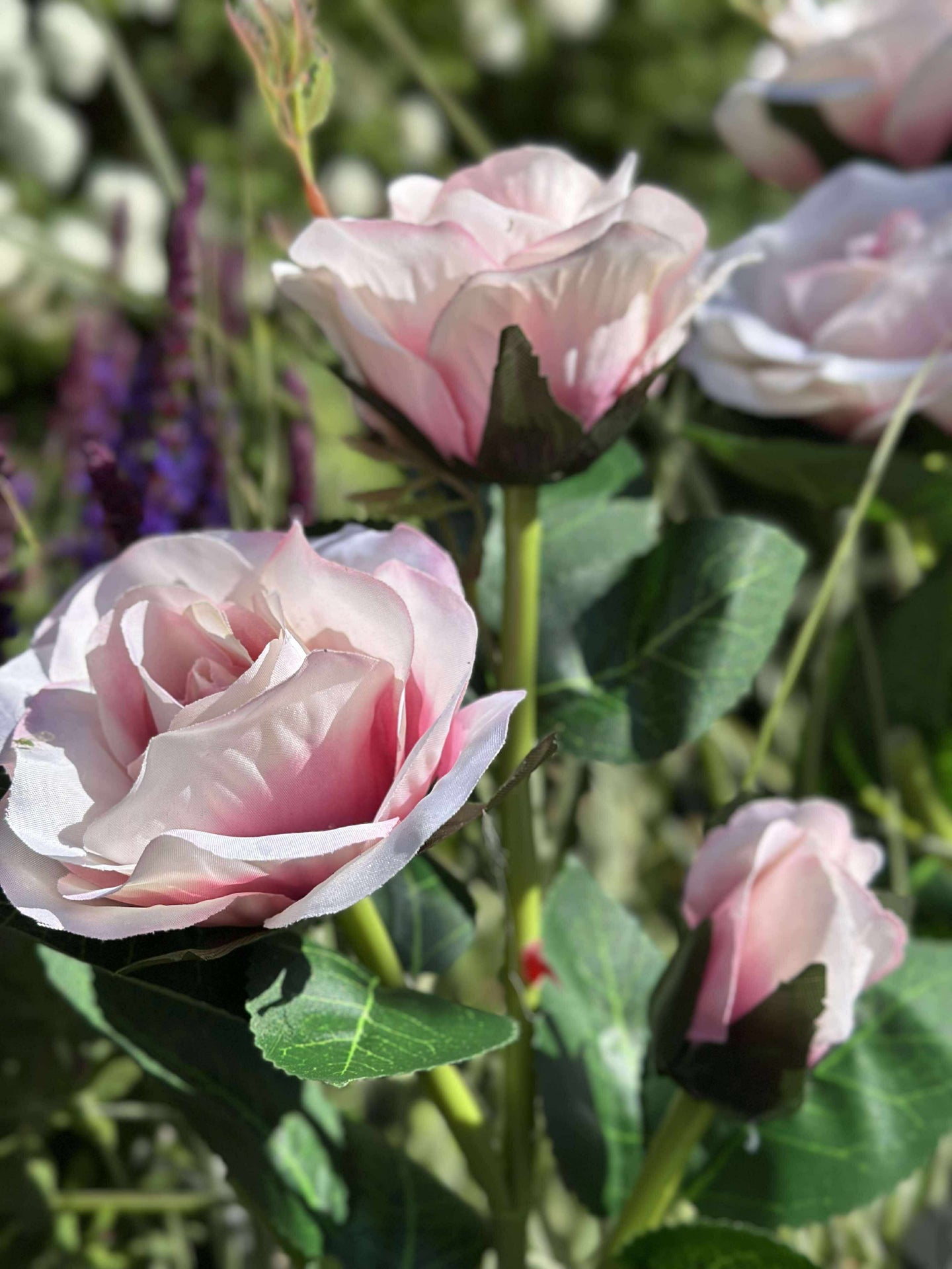 Rose mit Solarzellen - Rosa