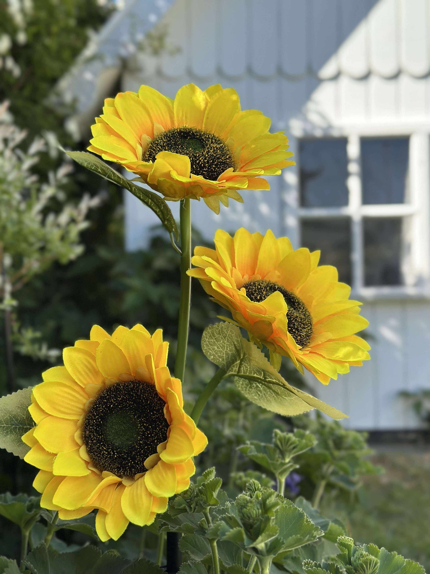 Sonnenblume mit Solarzellen