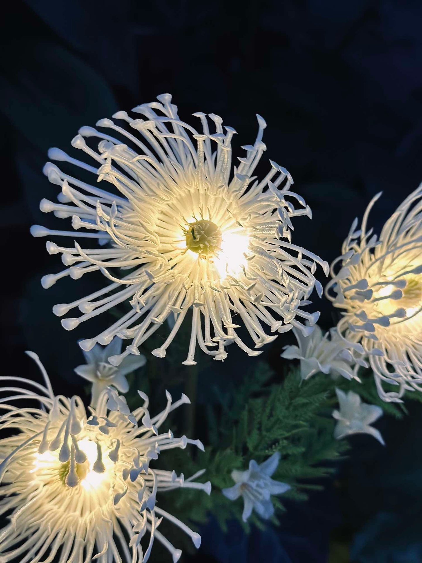 Blume mit Solarzellen - Spider Lili weiß