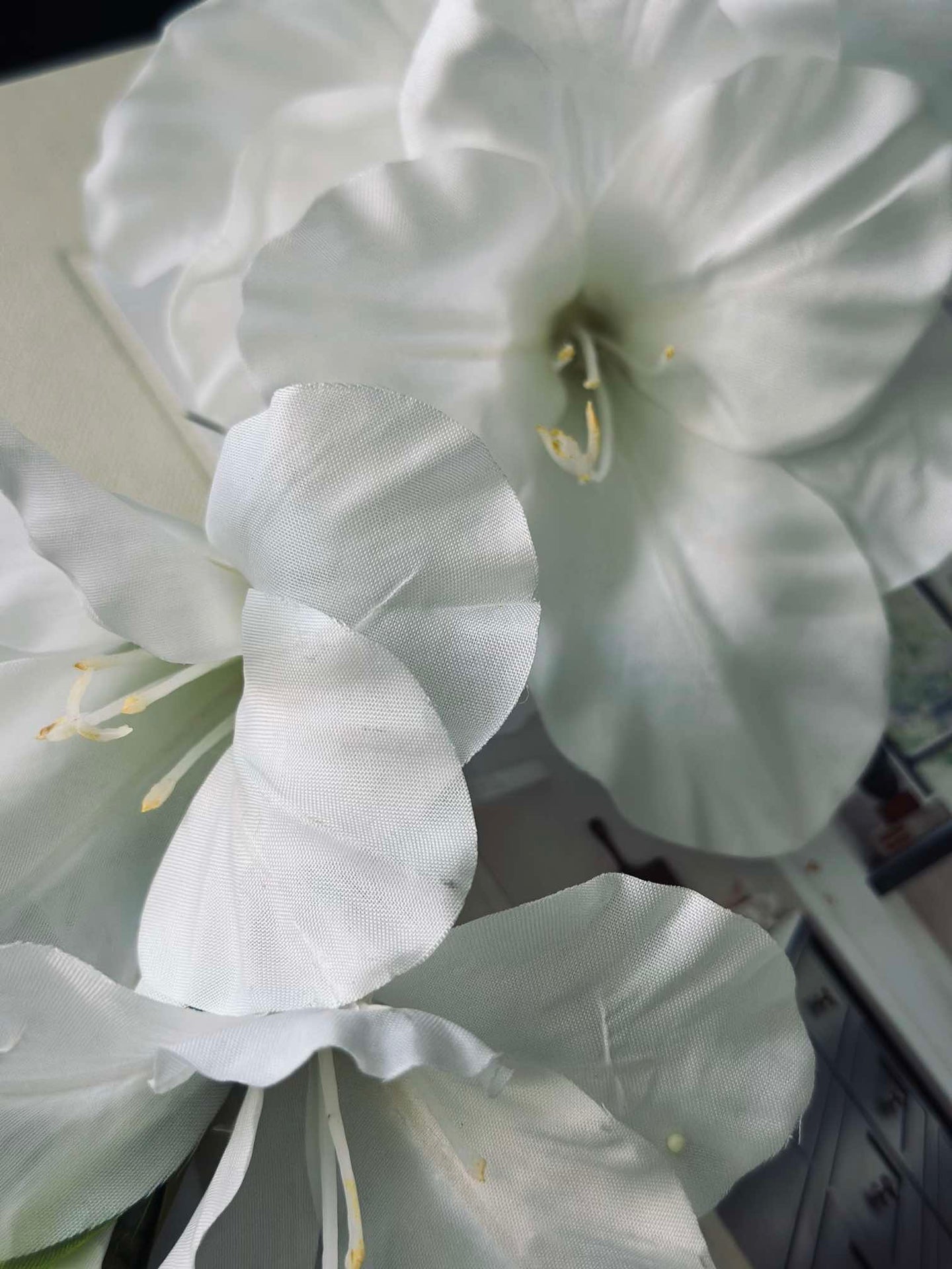 Gladiolusstiel