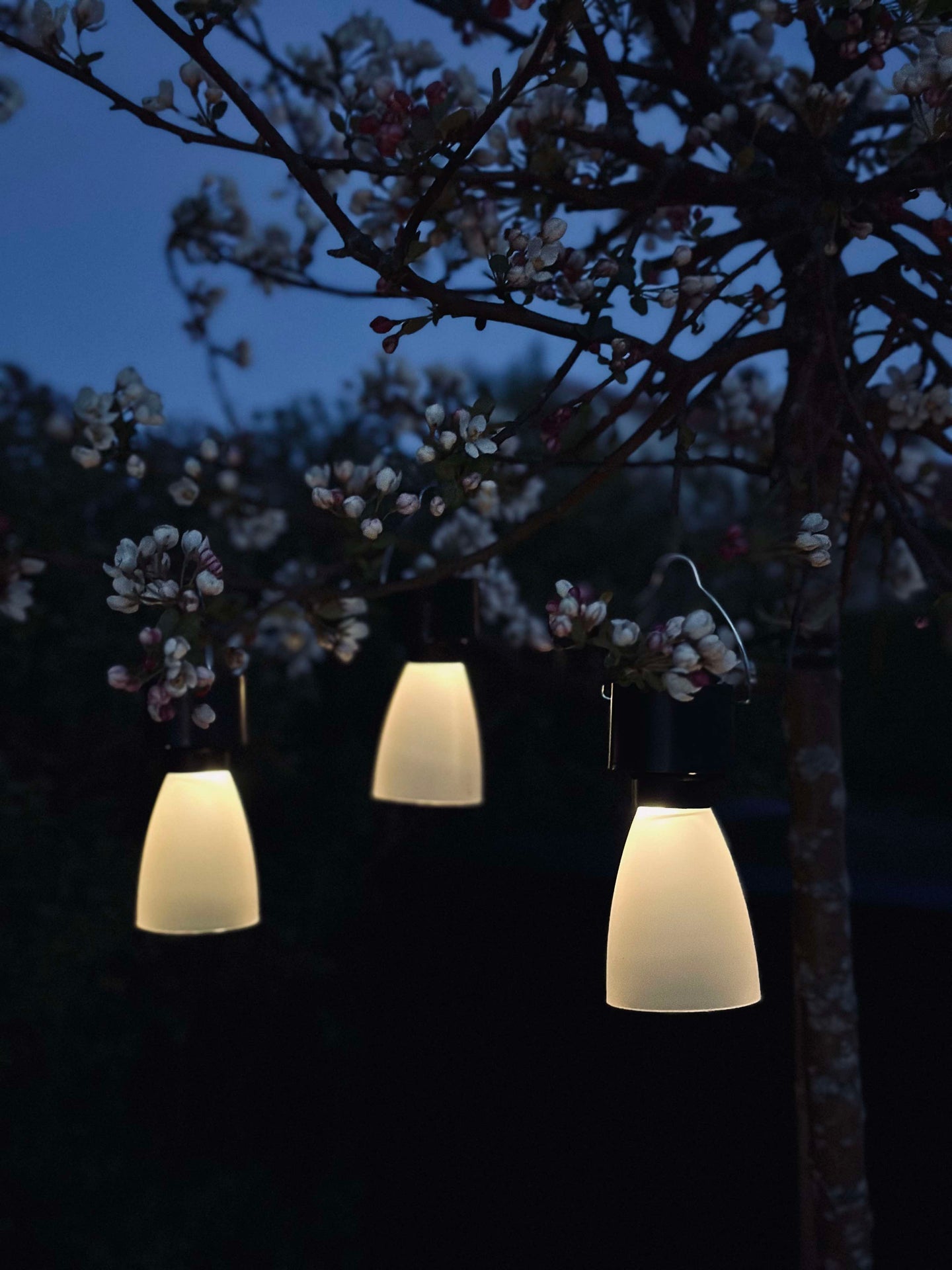 Mini-Lampe mit Solar