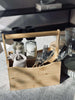 Box mit Fächern und Griff