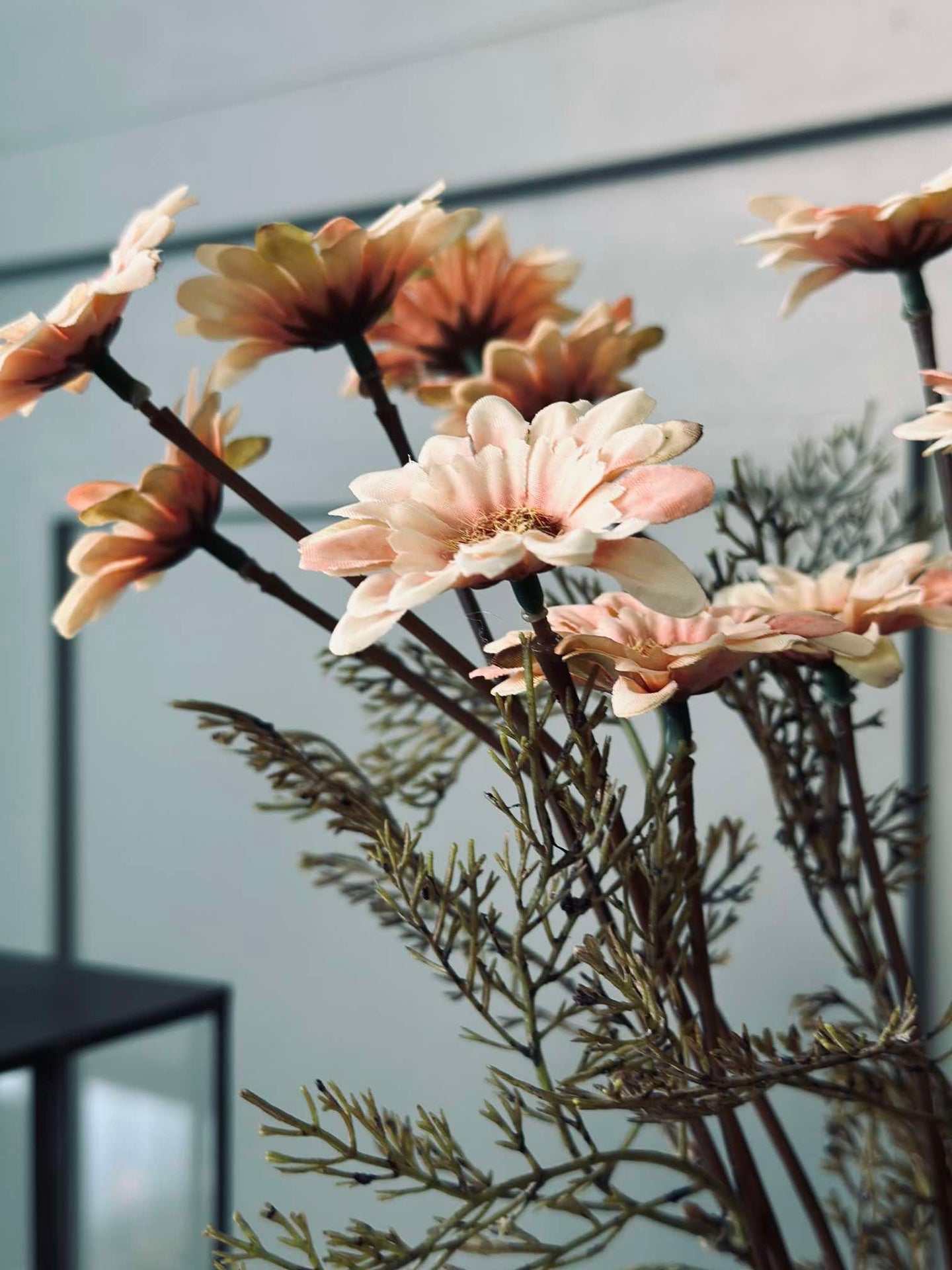 Chrysanthemenstiel