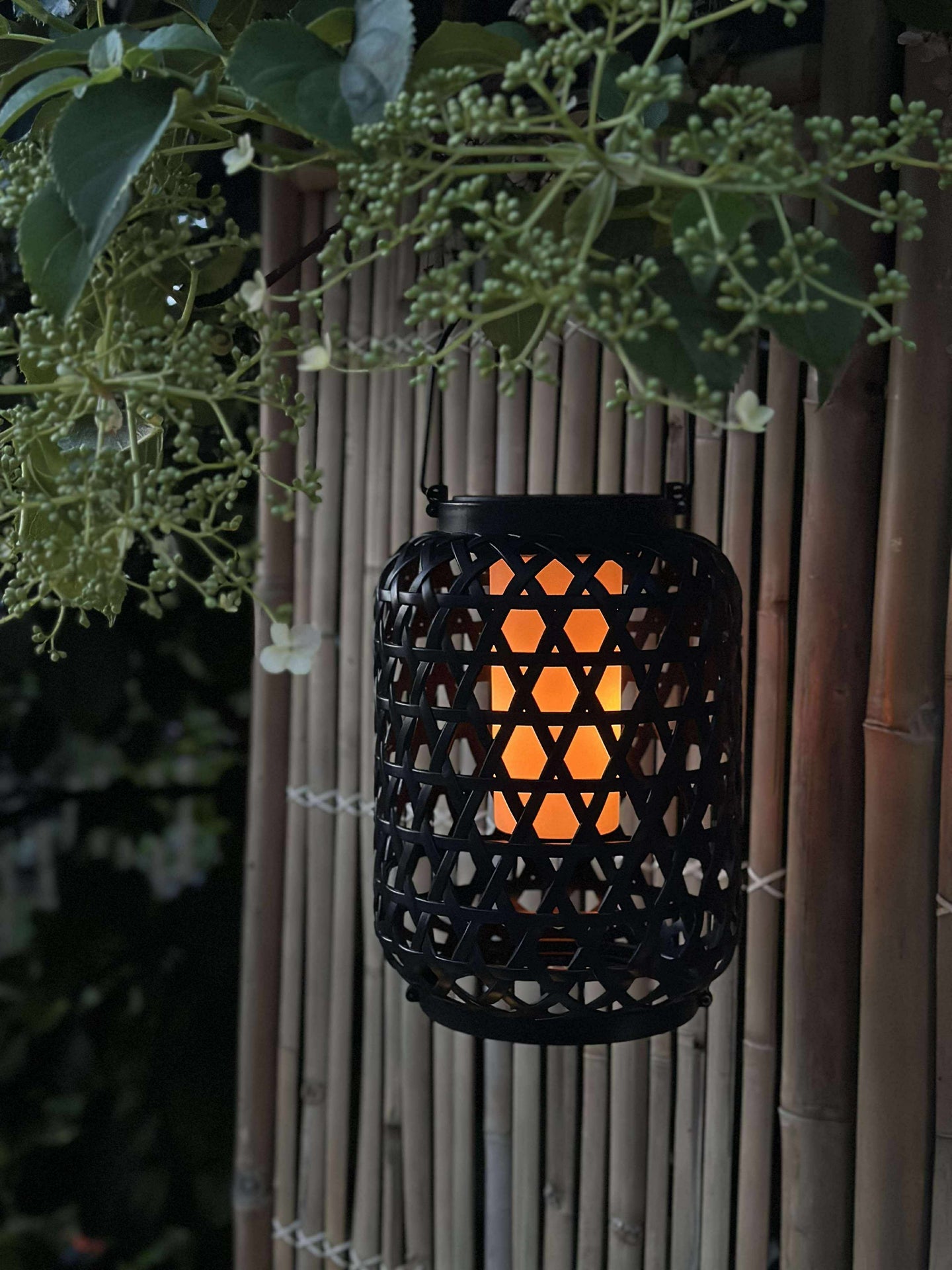 Laterne GINNY - Mehrere Farboptionen