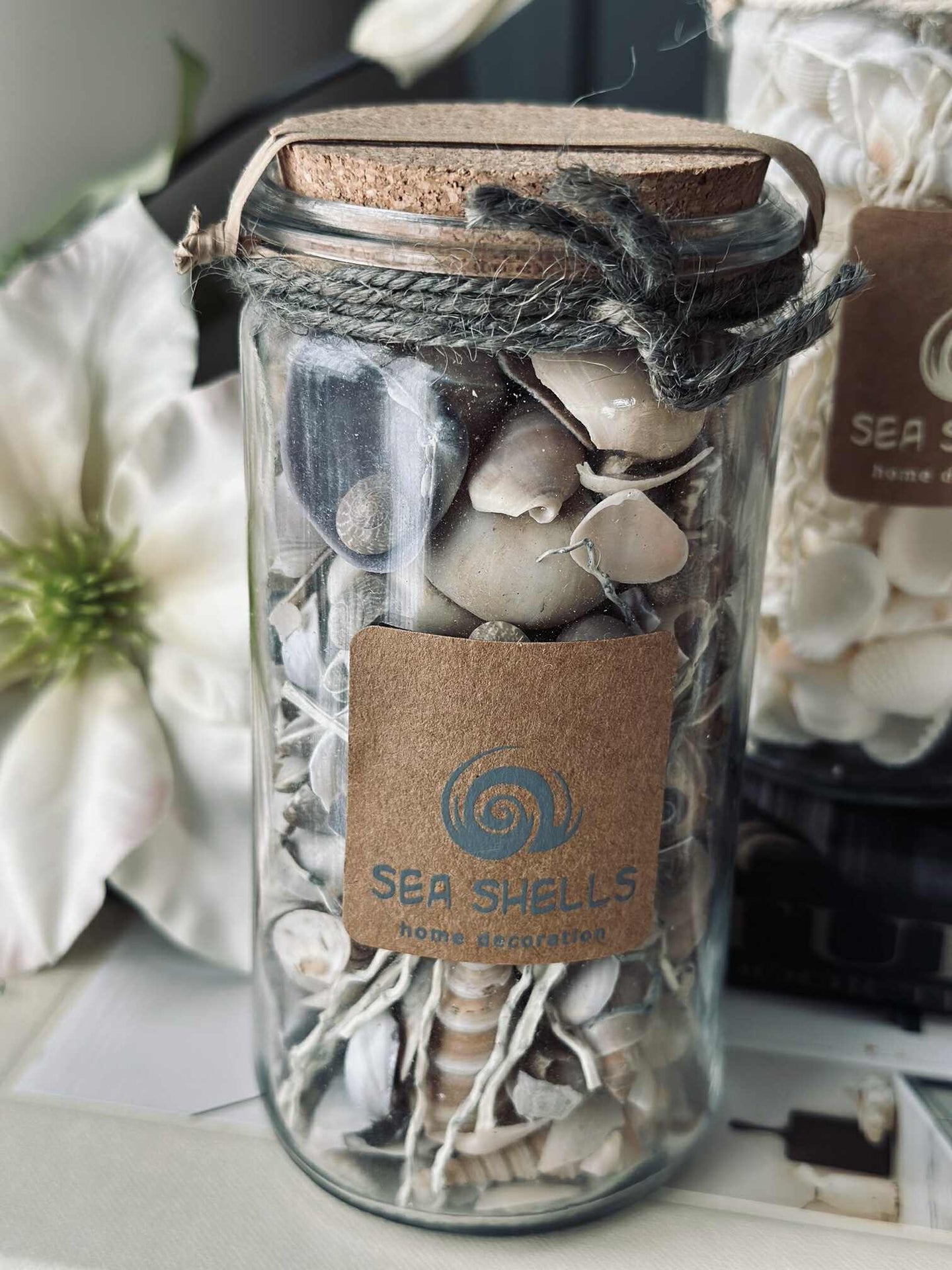 Strandmuscheln im Glas - MIX