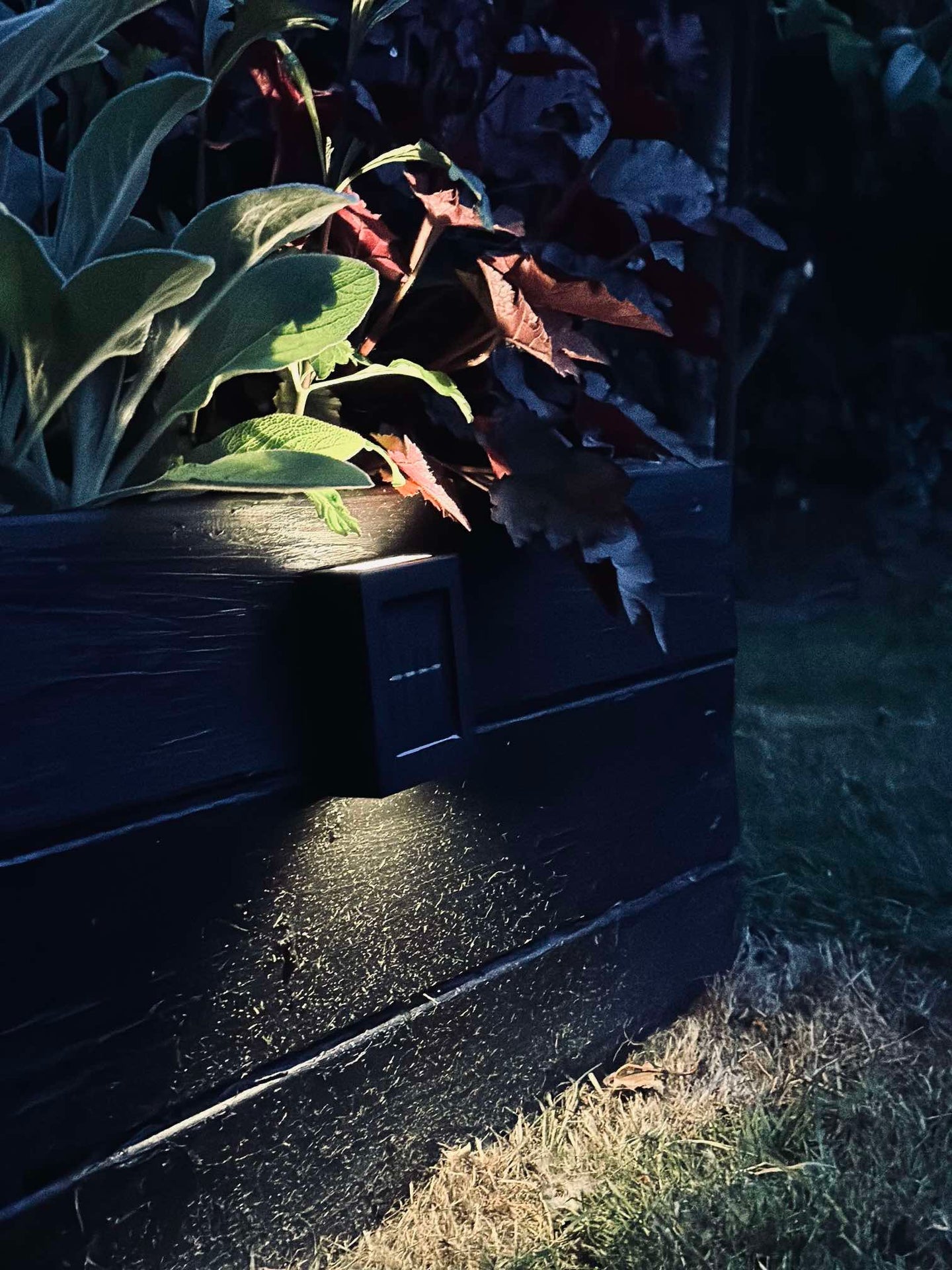 Aura Solar Lampe - 2er-Pack