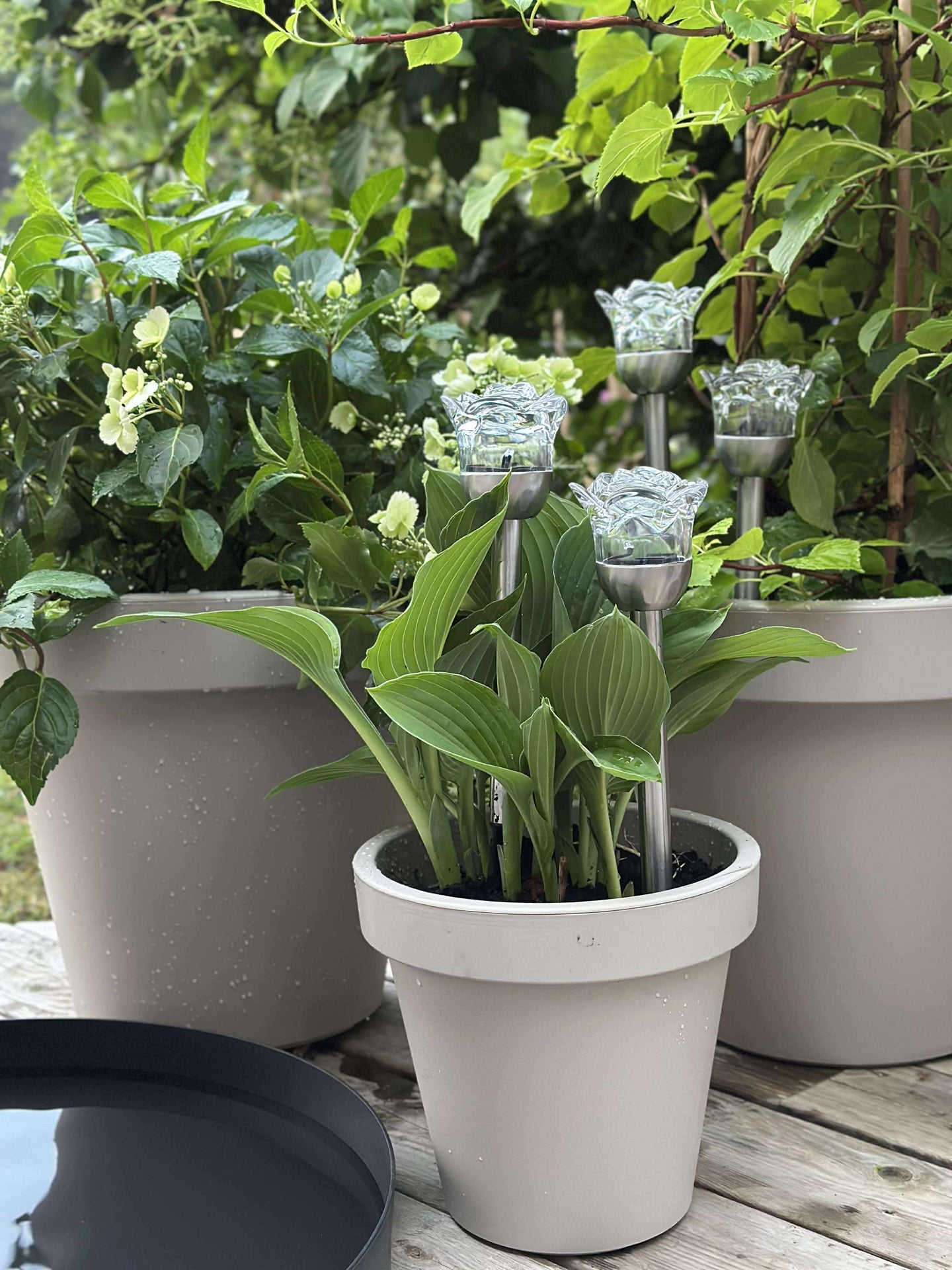 Fackel mit Solarzellen FLOWER – Set mit 4 Stück