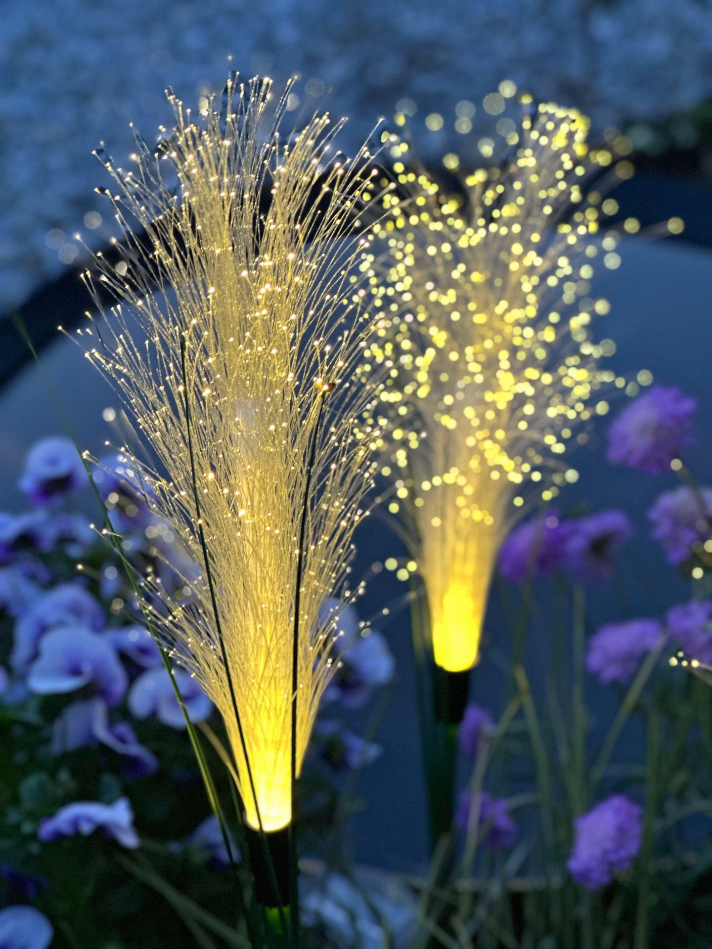 Pampas mit Solar