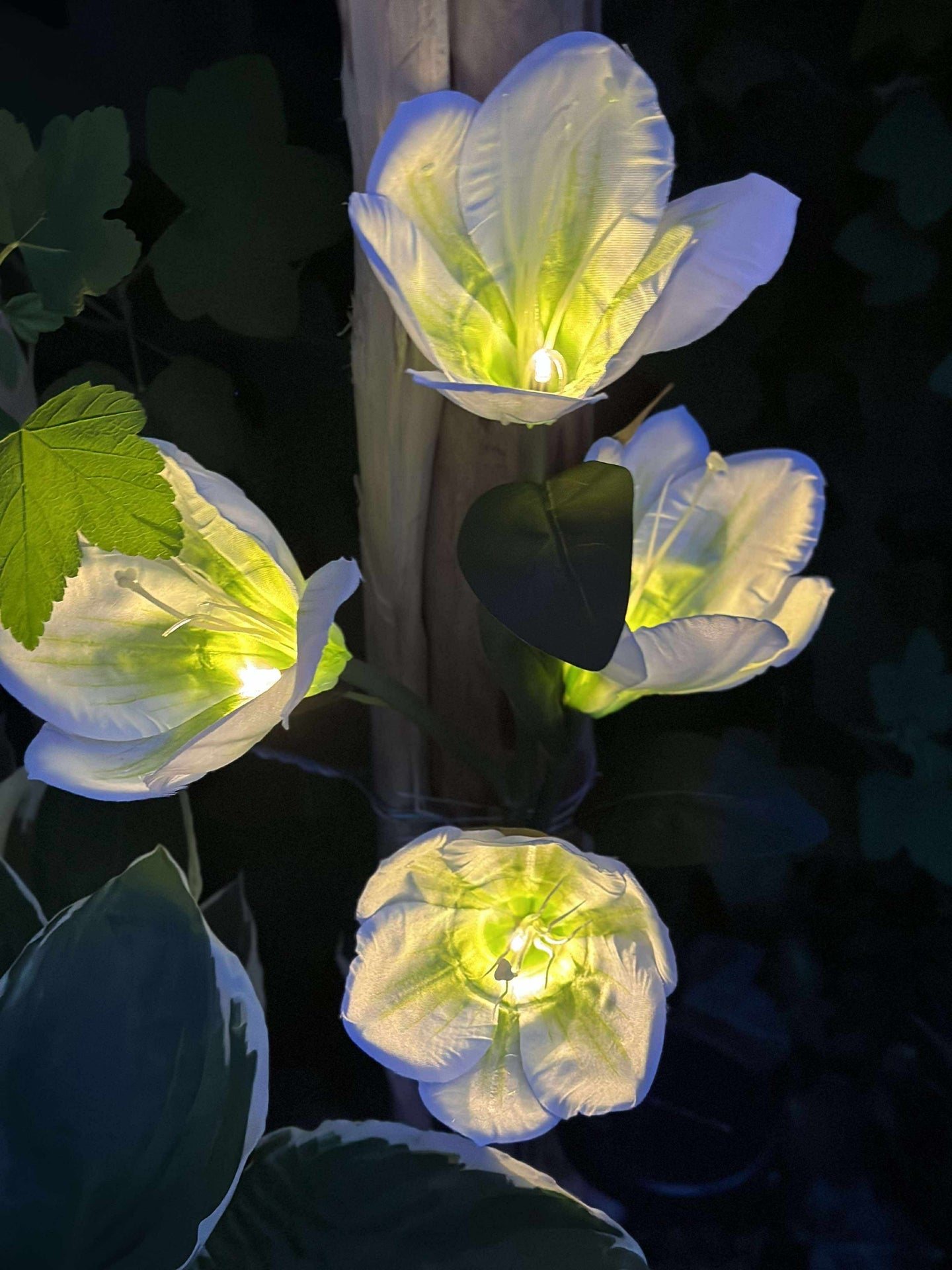 Magnolie mit Solarzellen - Weiß