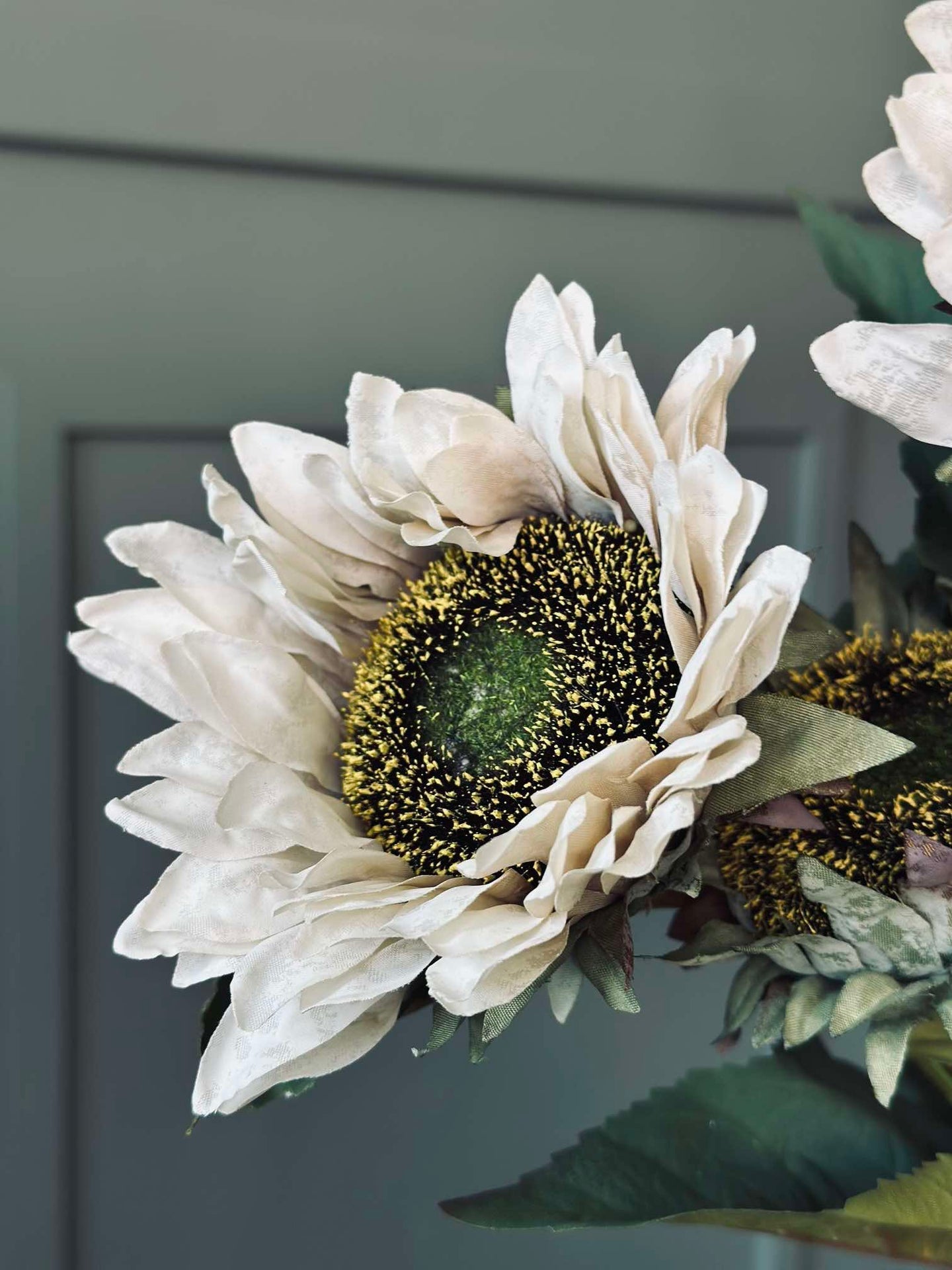 Sonnenblumenstiel