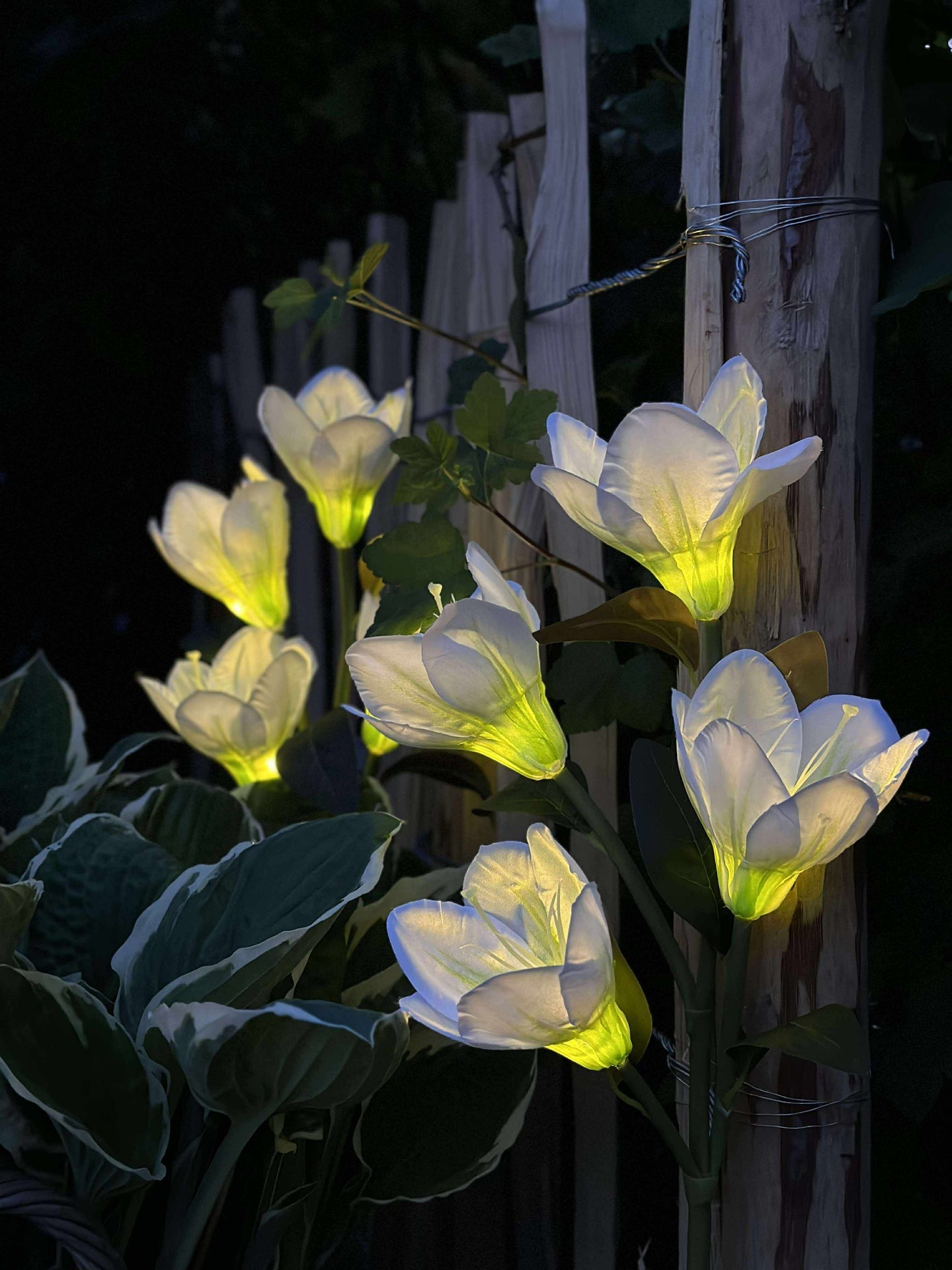 Magnolie mit Solarzellen - Weiß