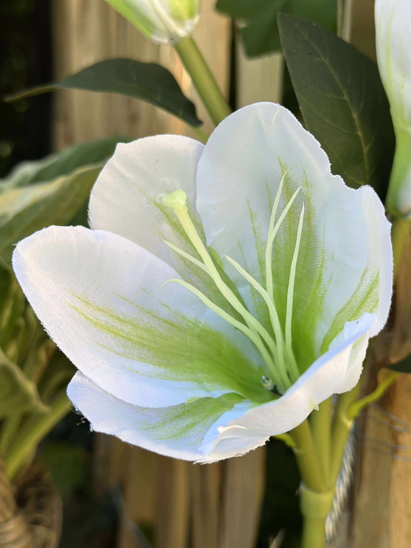 Magnolie mit Solarzellen - Weiß