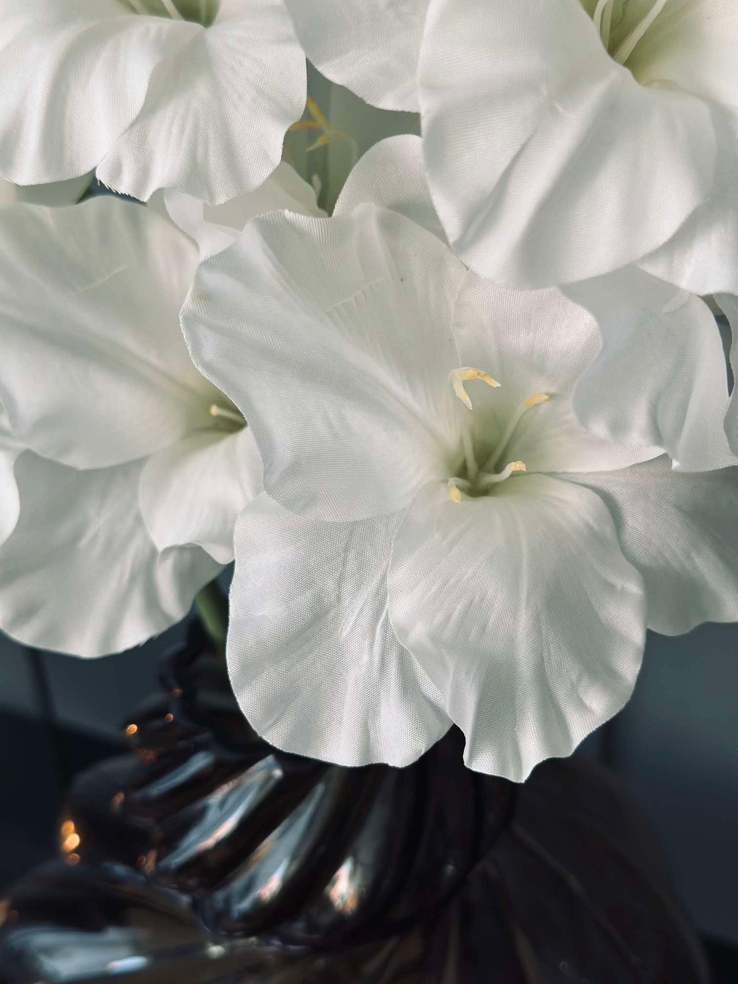 Gladiolusstiel