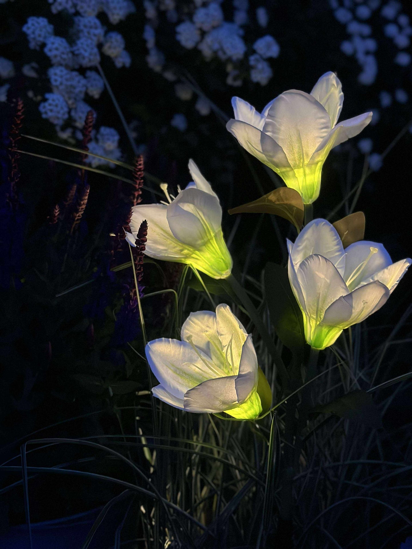 Magnolie mit Solarzellen - Weiß