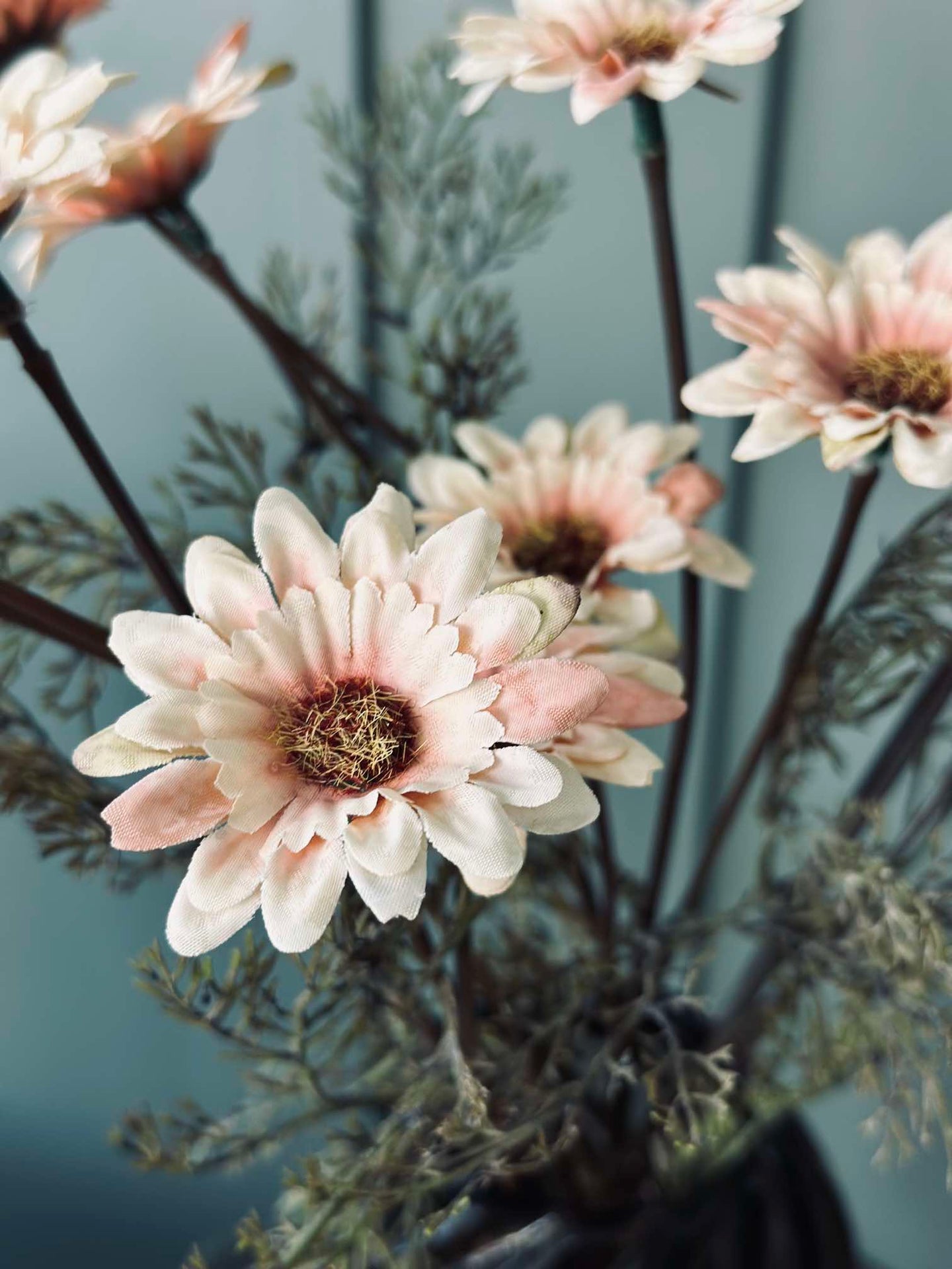 Chrysanthemenstiel