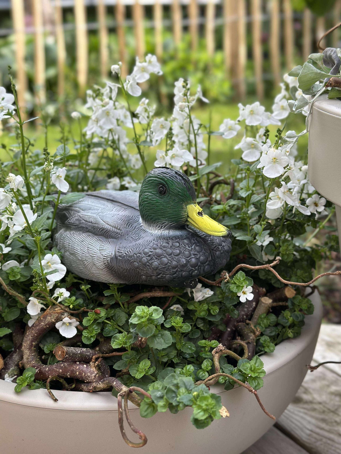 Schwimmende Ente zur Gartendekoration - Mix