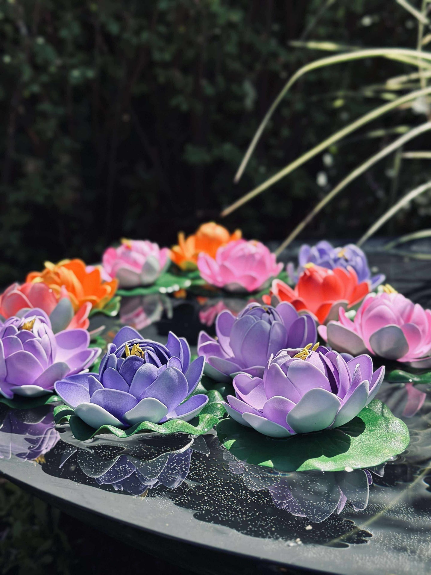 Lotus - Mehrere Farben