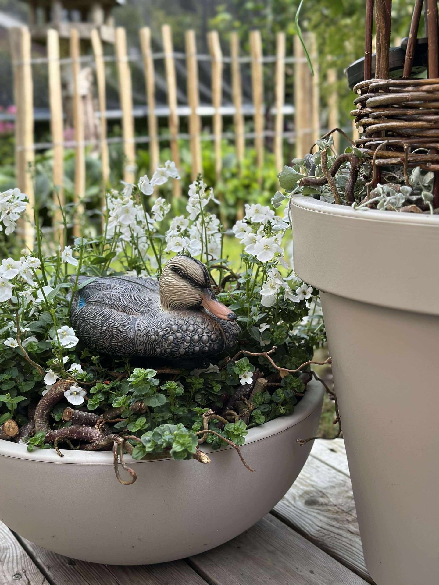 Schwimmende Ente zur Gartendekoration - Mix