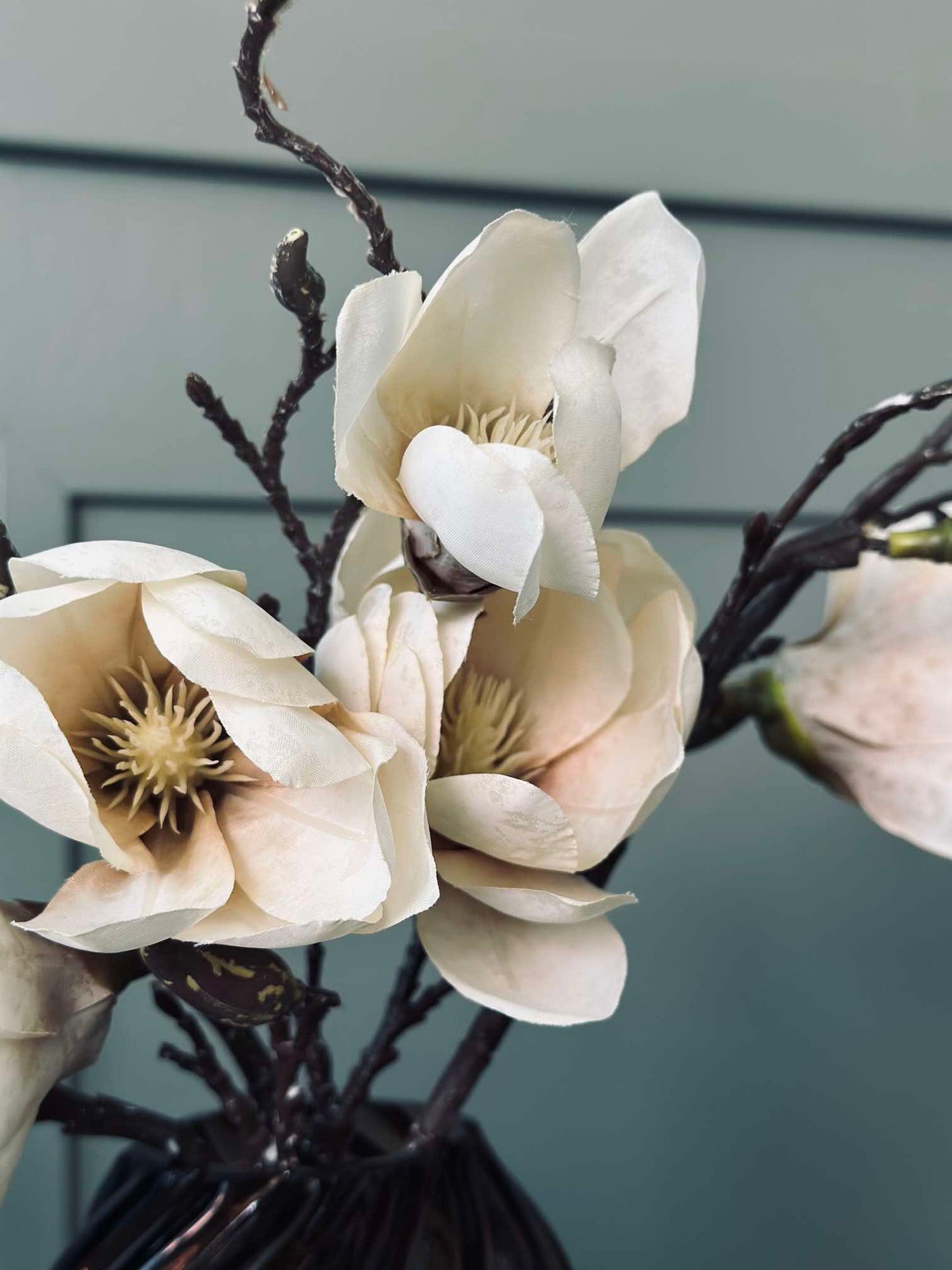 Magnolienstängel