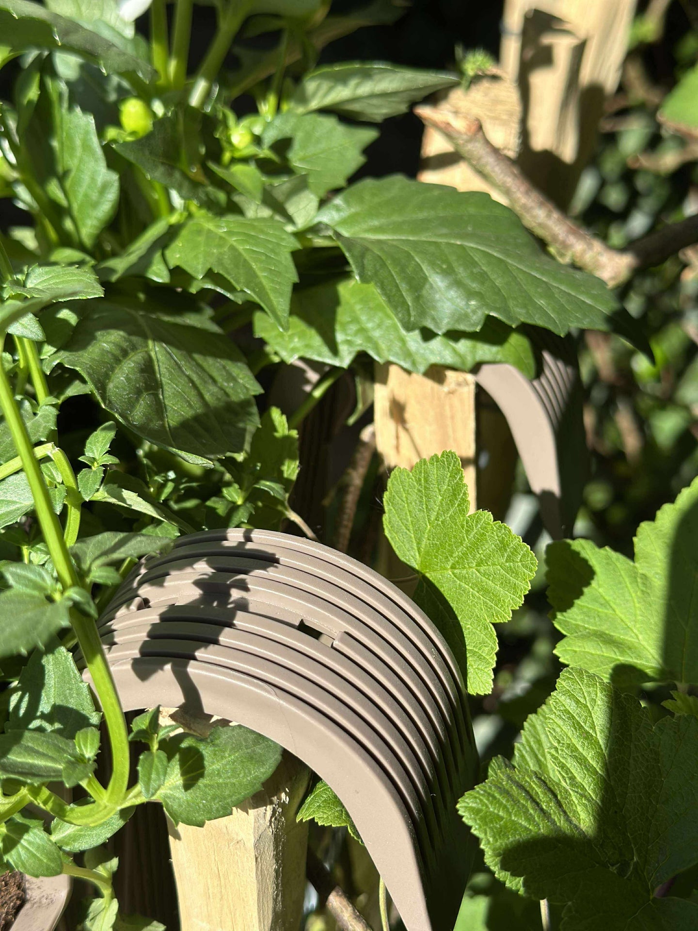 Pflanzkasten mit Aufhängung - Beige