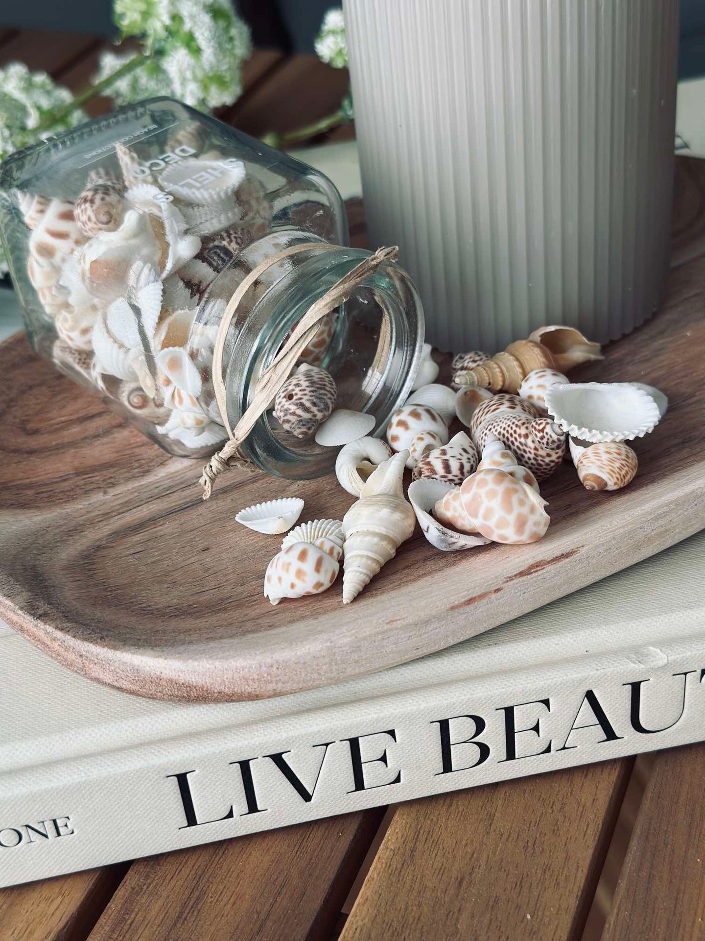 Muscheln aus Glas - Mix