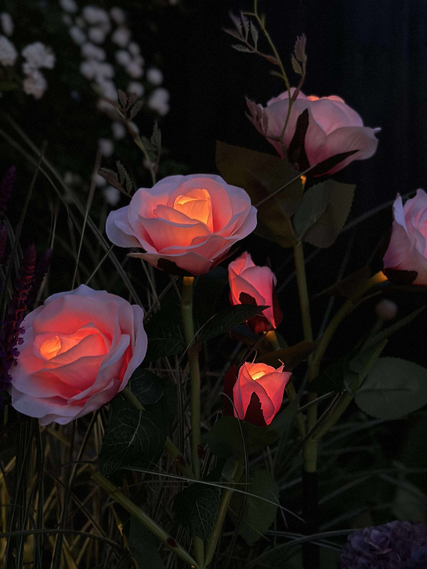Rose mit Solarzellen - Rosa