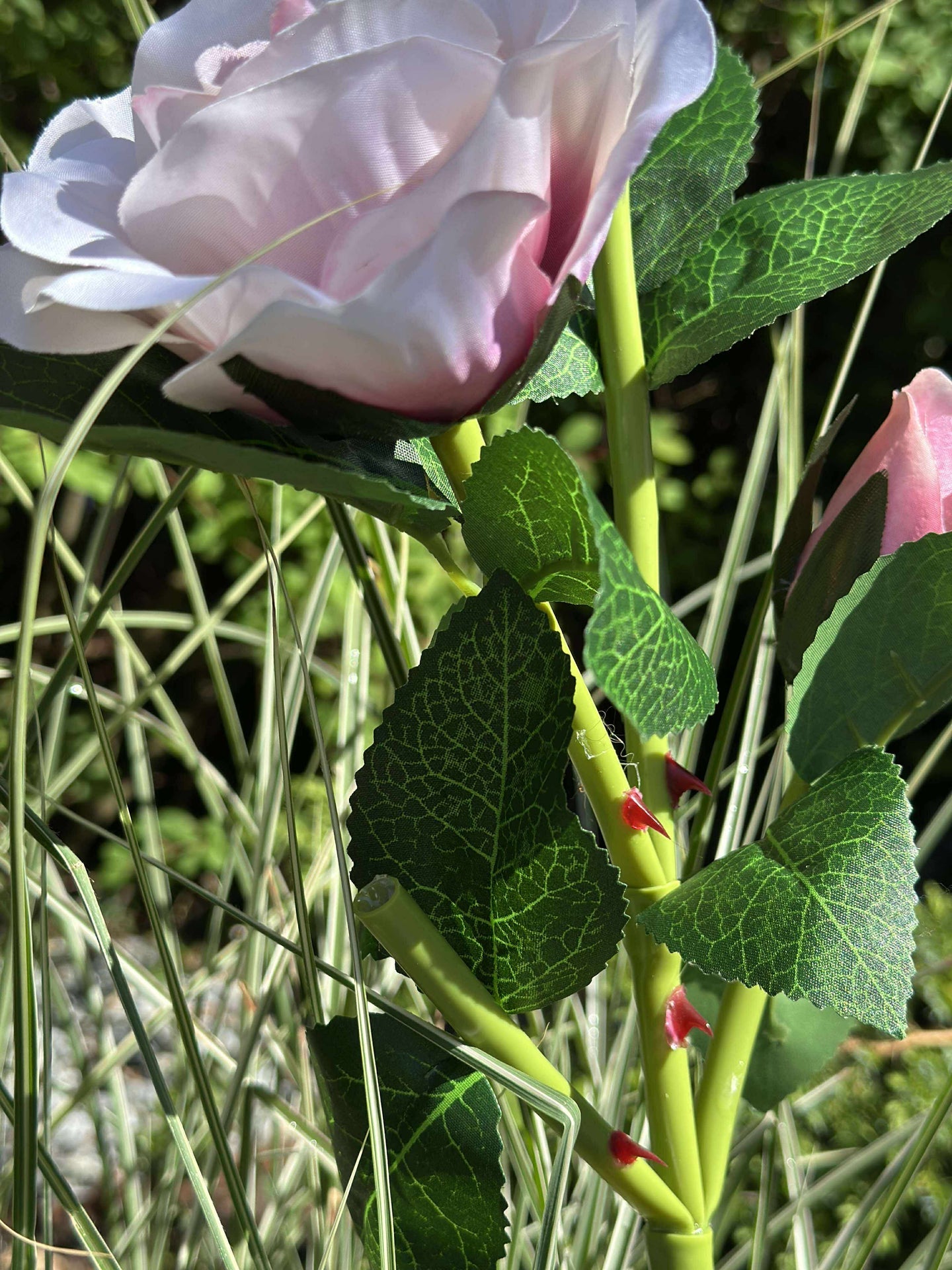 Rose mit Solarzellen - Rosa