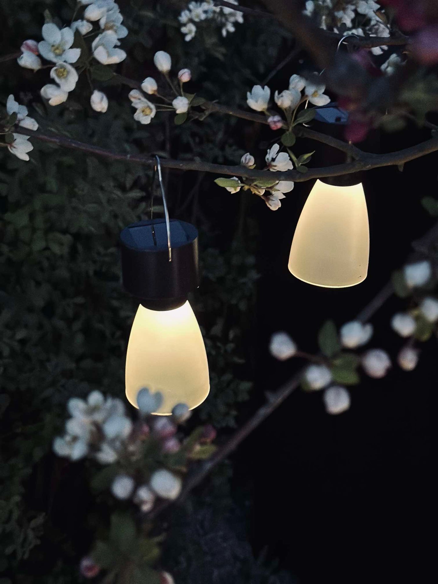Mini-Lampe mit Solar