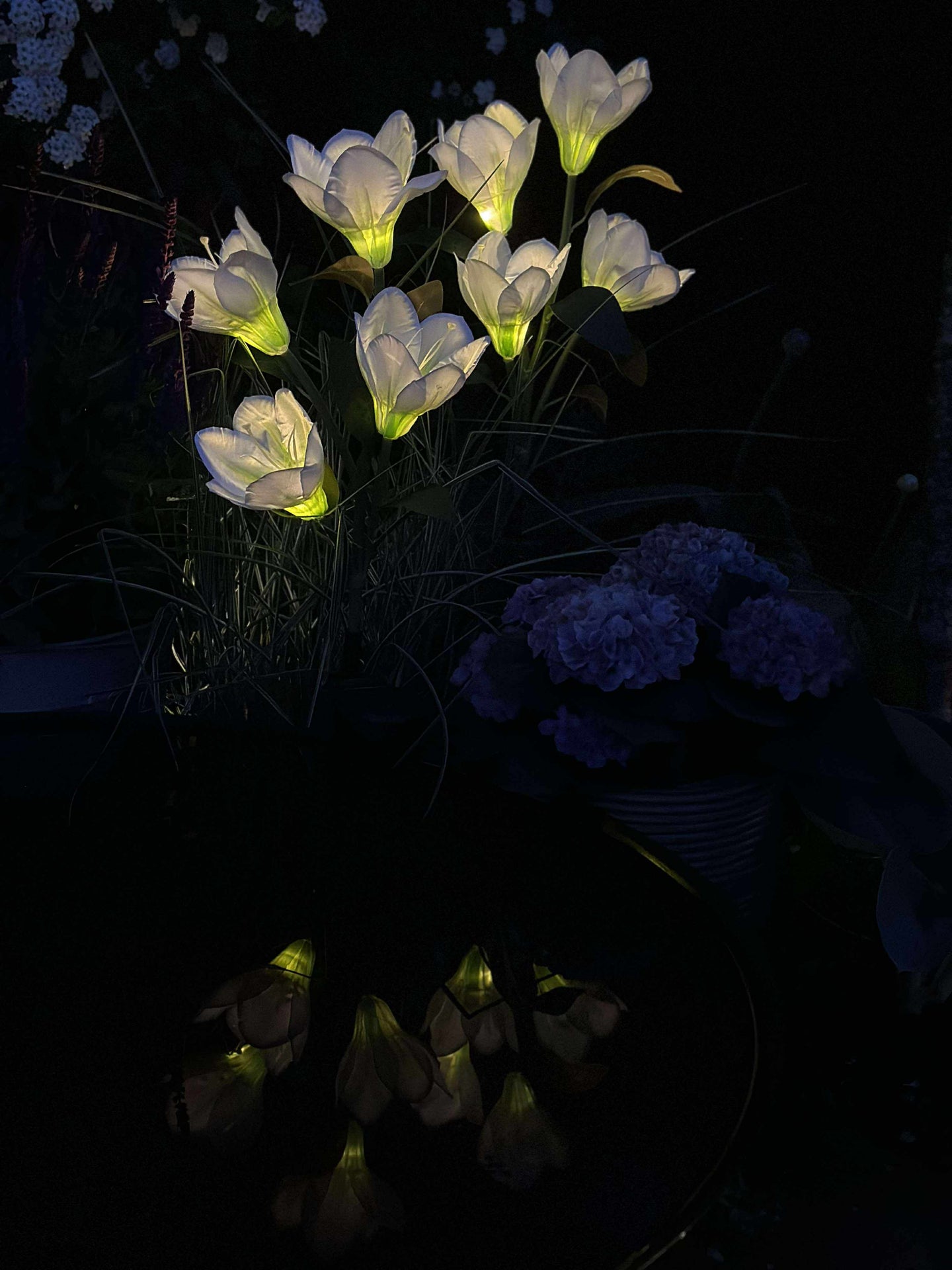 Magnolie mit Solarzellen - Weiß