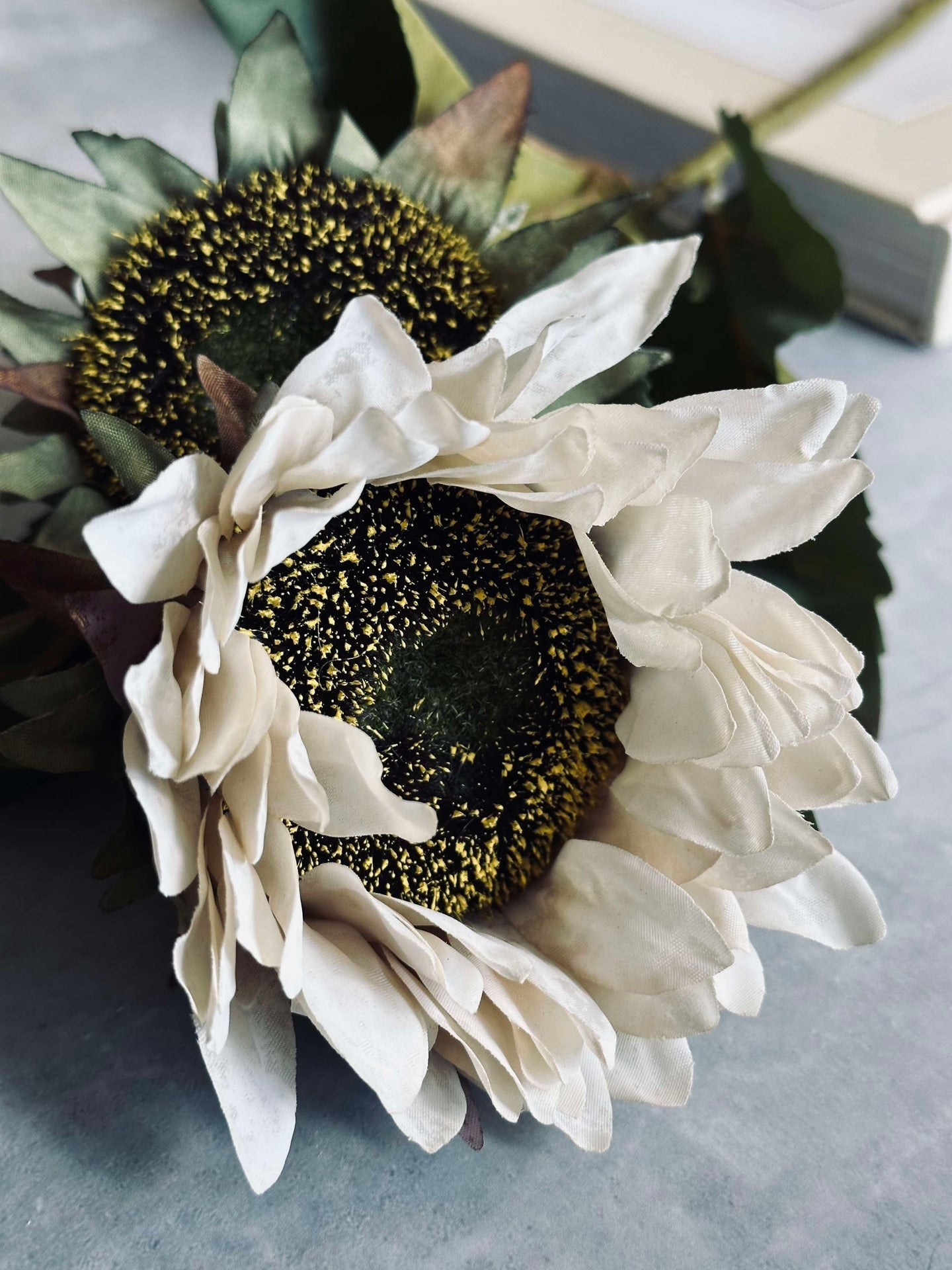 Sonnenblumenstiel