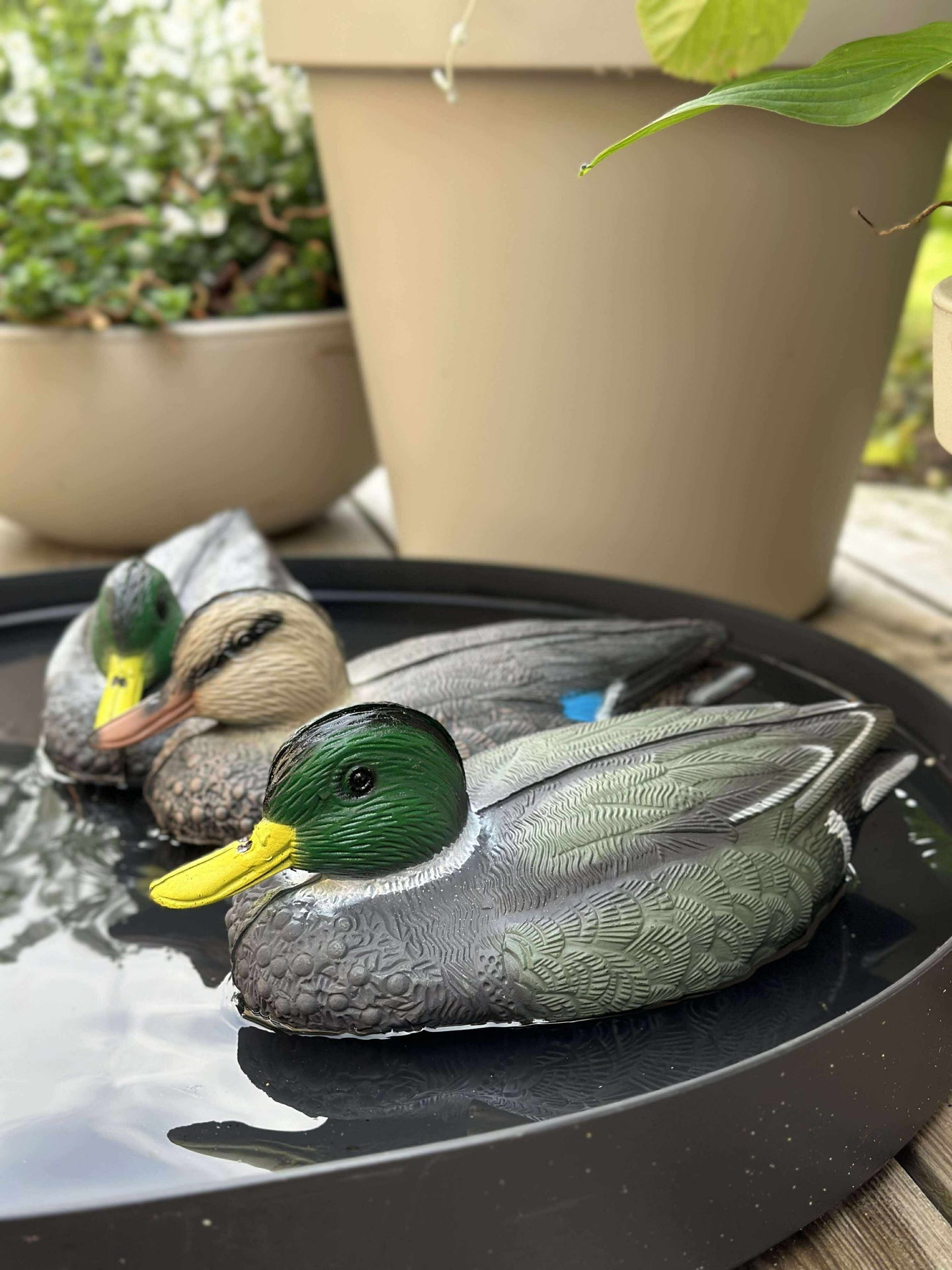 Schwimmende Ente zur Gartendekoration - Mix