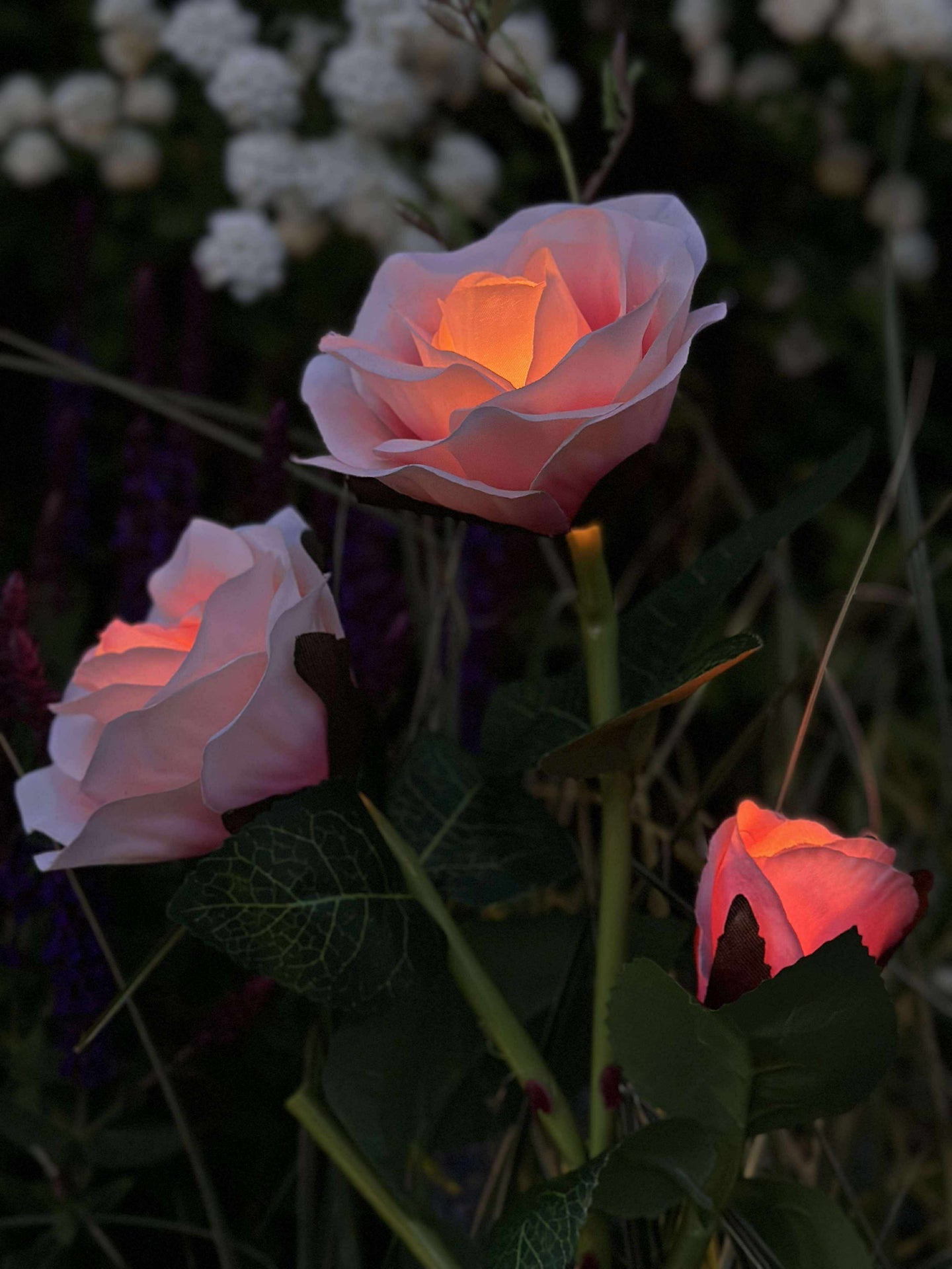 Rose mit Solarzellen - Rosa
