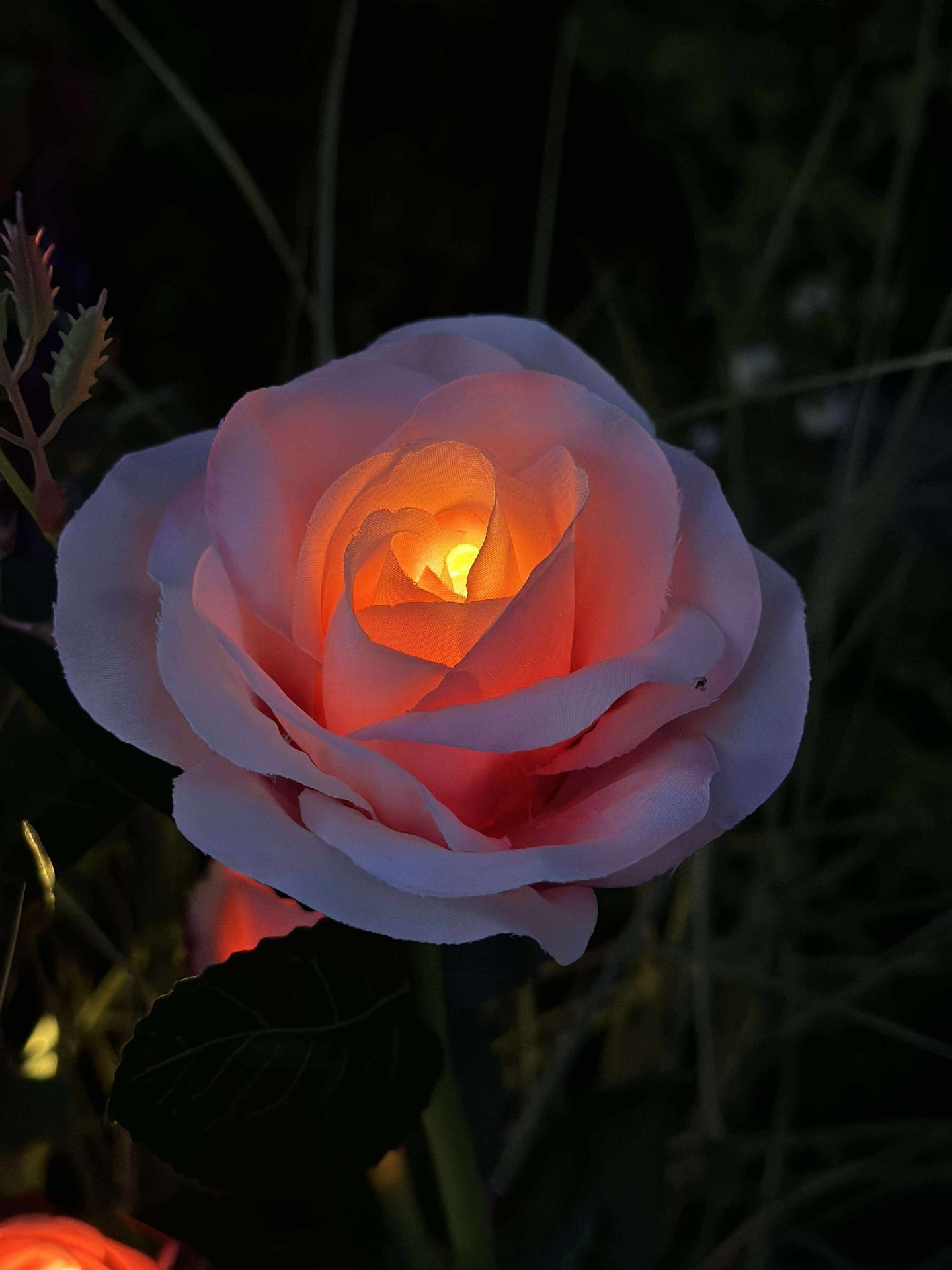 Rose mit Solarzellen - Rosa