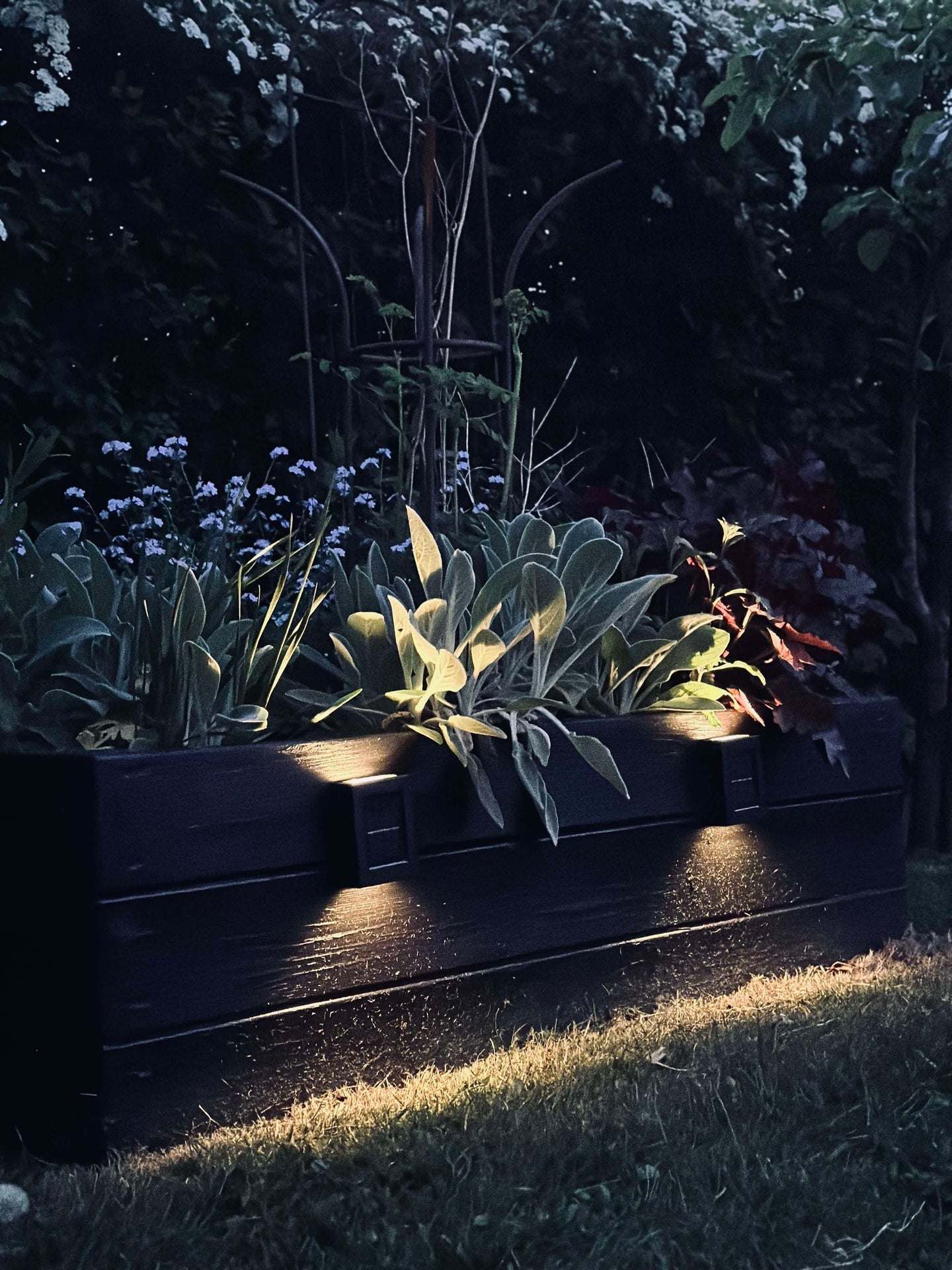 Aura Solar Lampe - 2er-Pack