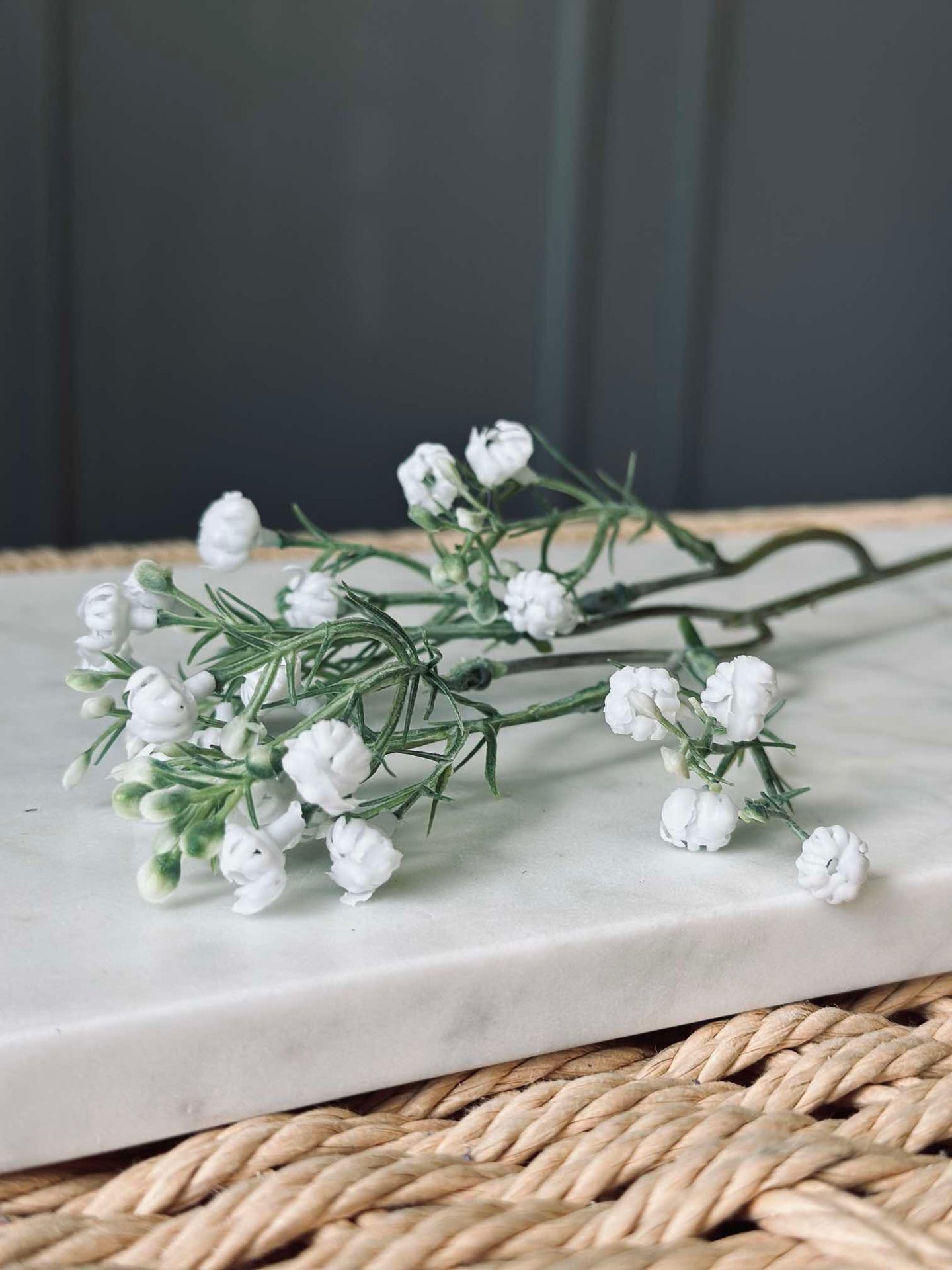 Brautschleier-Stiel