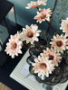 Chrysanthemenstiel