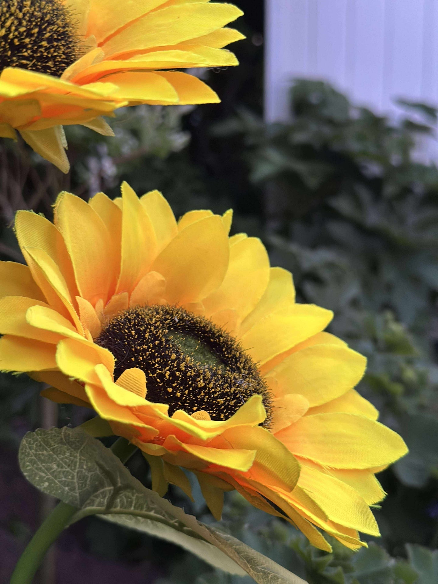 Sonnenblume mit Solarzellen