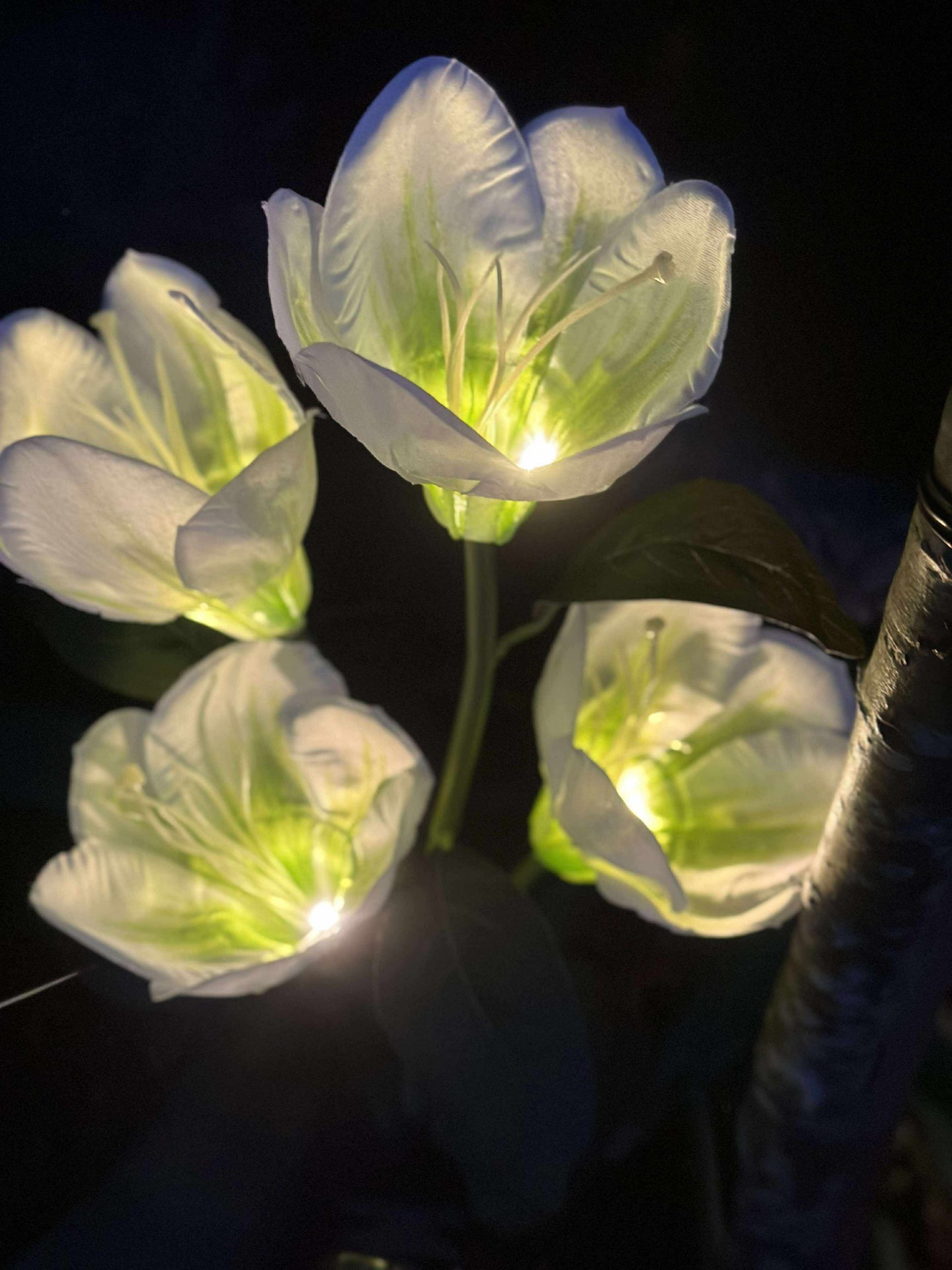 Magnolie mit Solarzellen - Weiß
