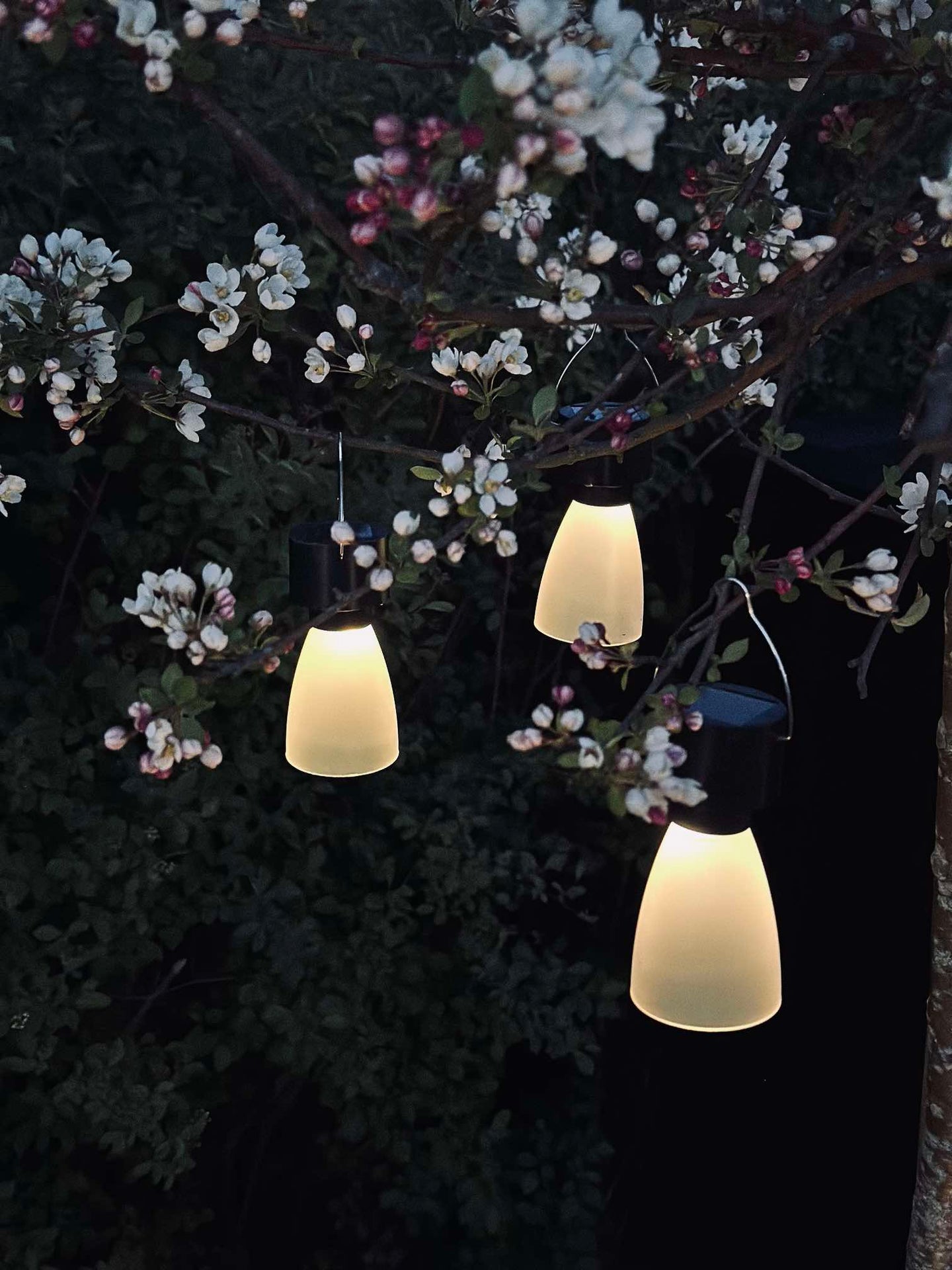 Mini-Lampe mit Solar